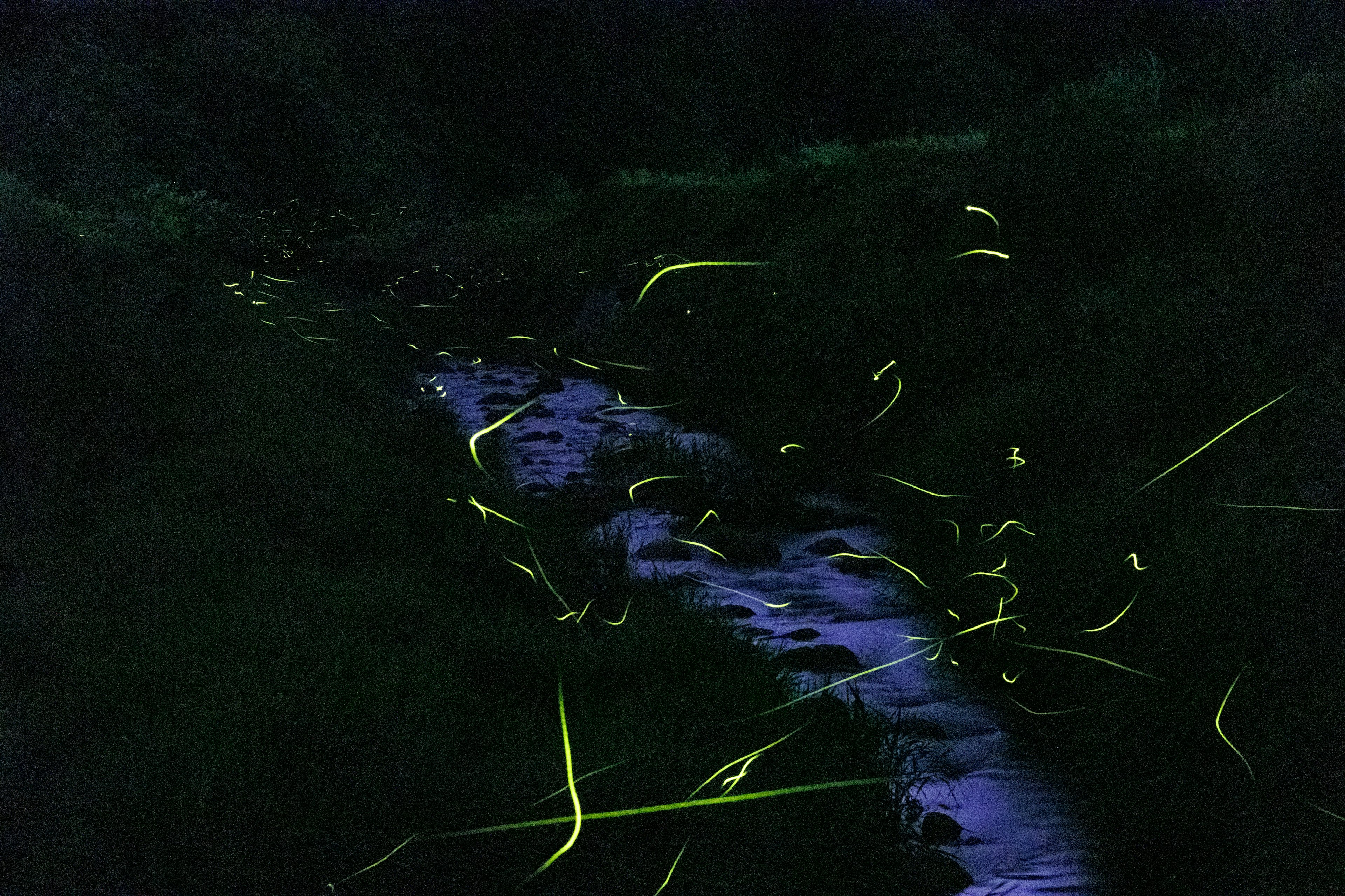 photo-IUuMOcrRODlqXx5XLGkT-image