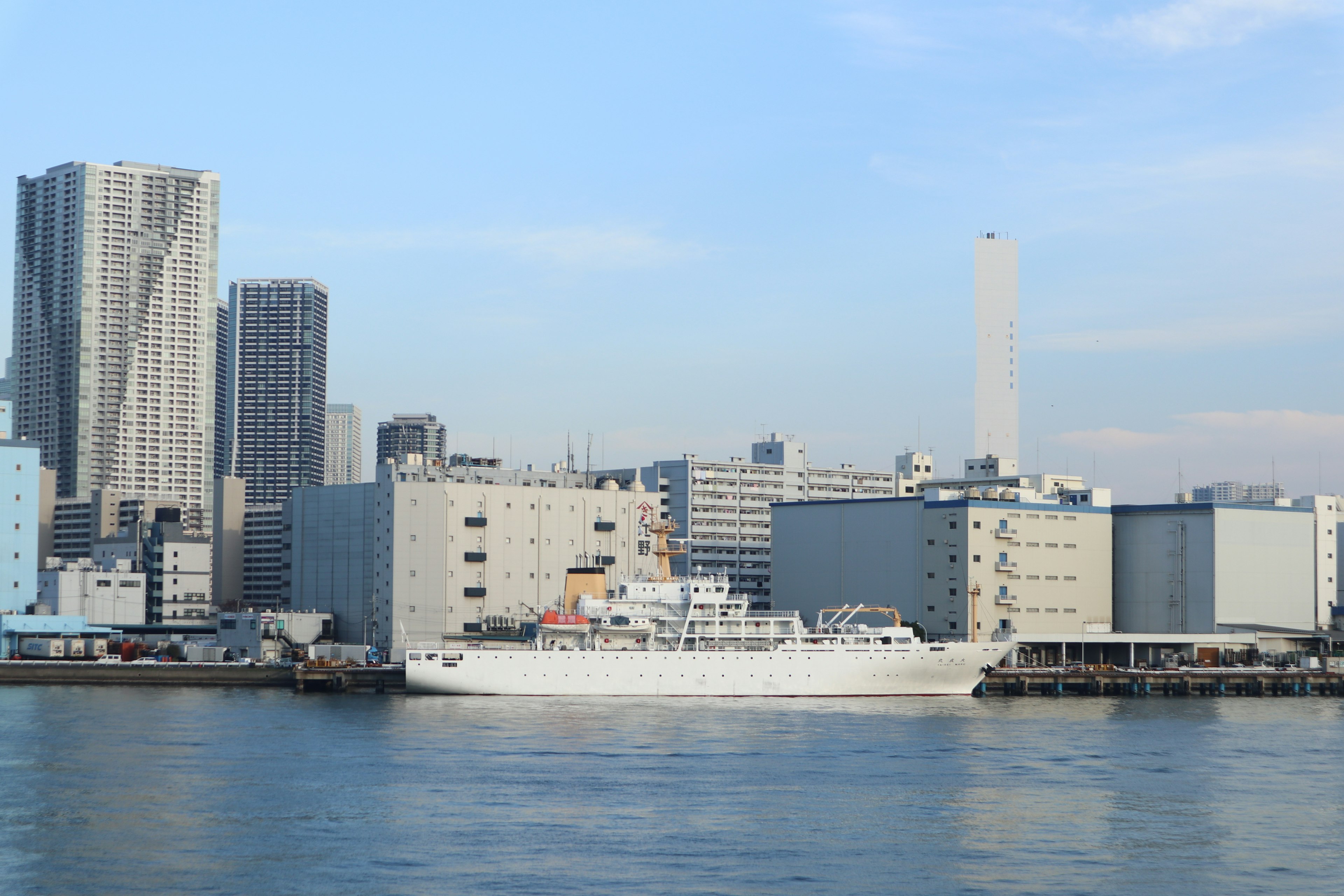 Ein weißes Schiff im Hafen mit Wolkenkratzern im Hintergrund