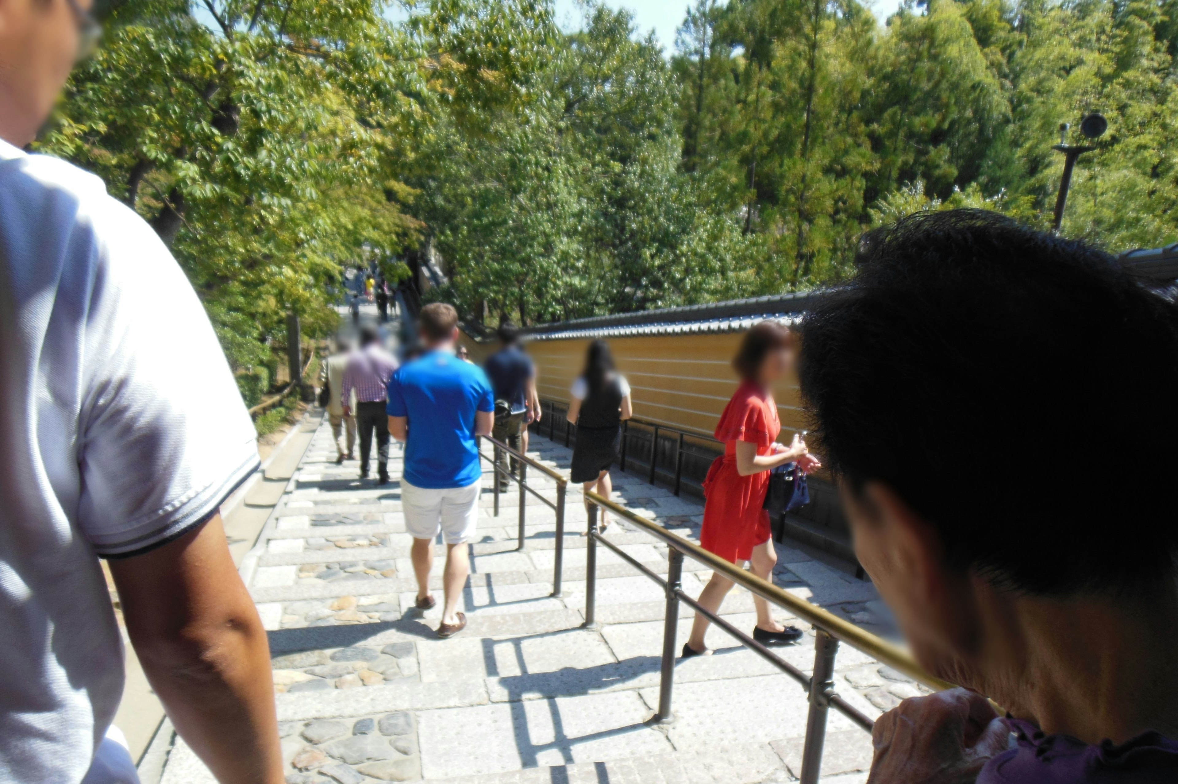 People walking down a stone staircase in a lush green setting