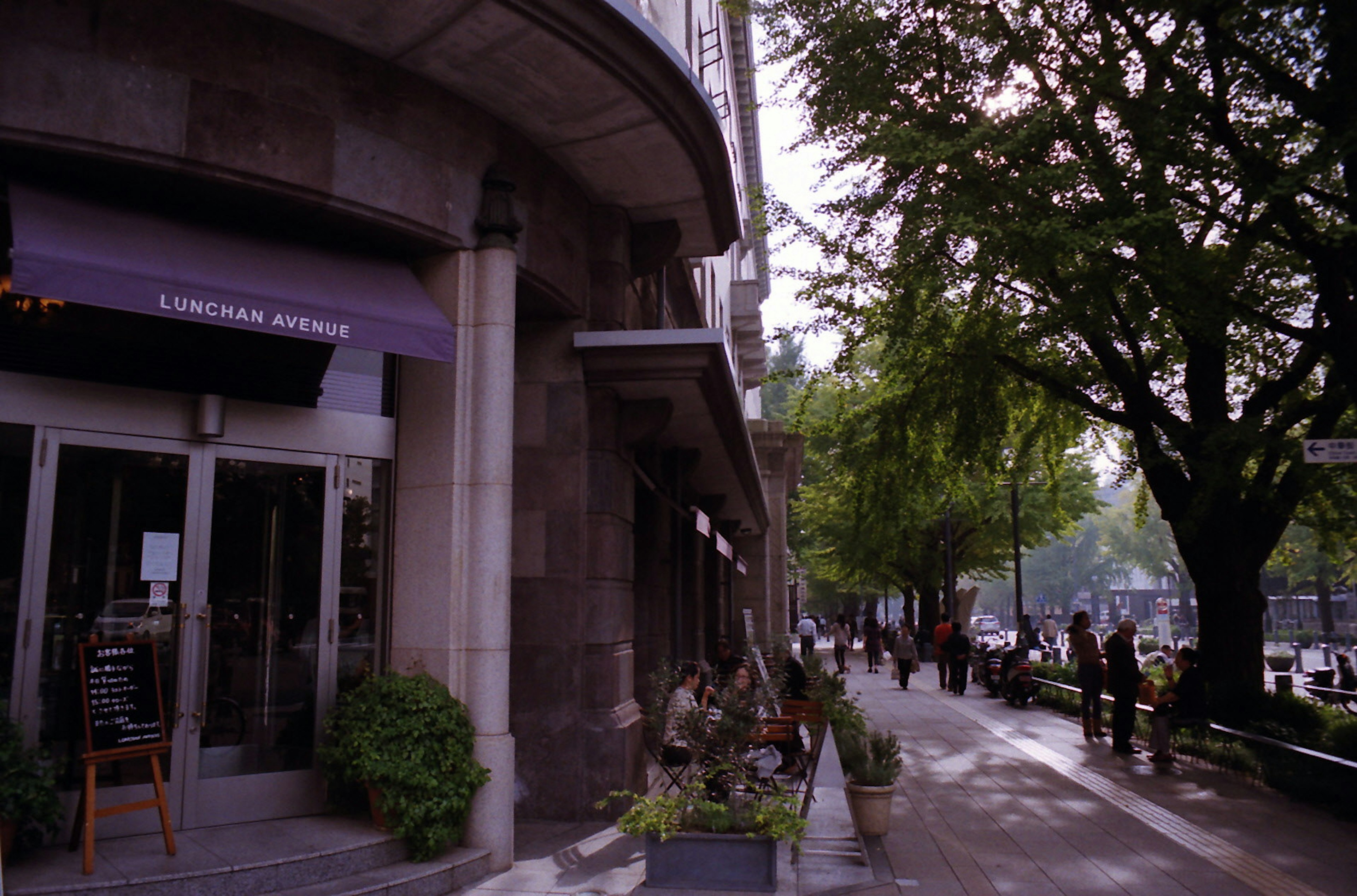 Cafe entrance with lush trees along the street