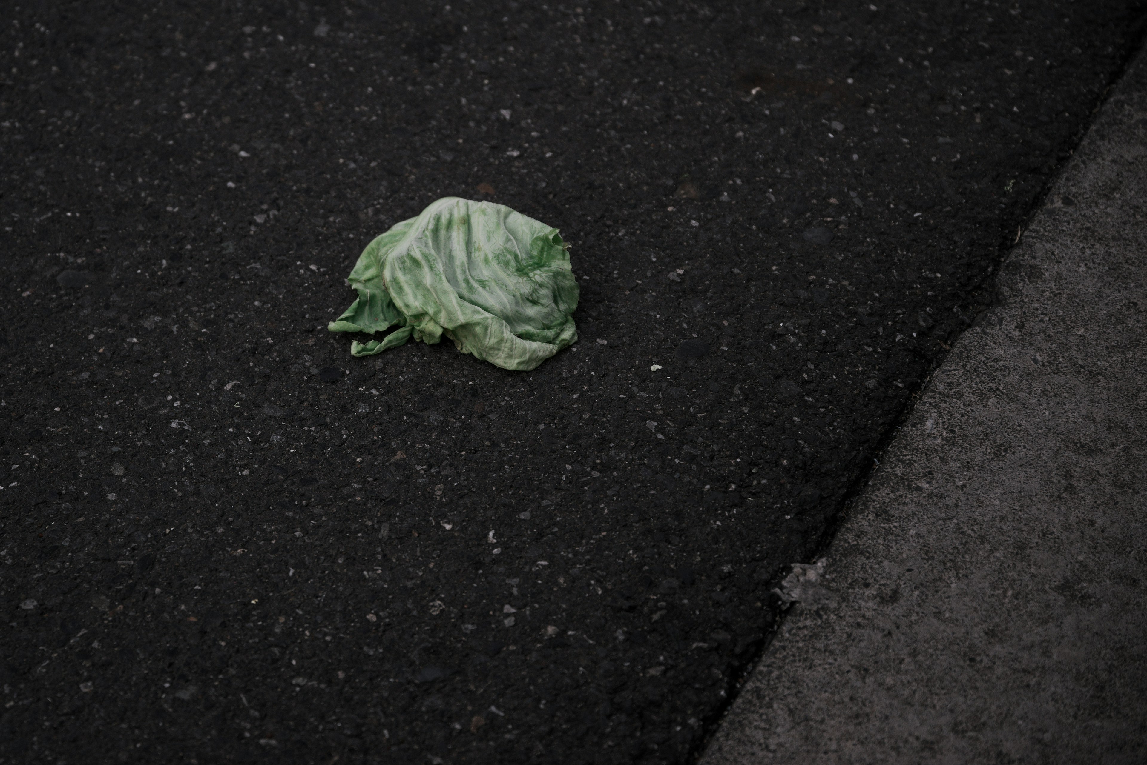 A green cabbage leaf discarded on the pavement