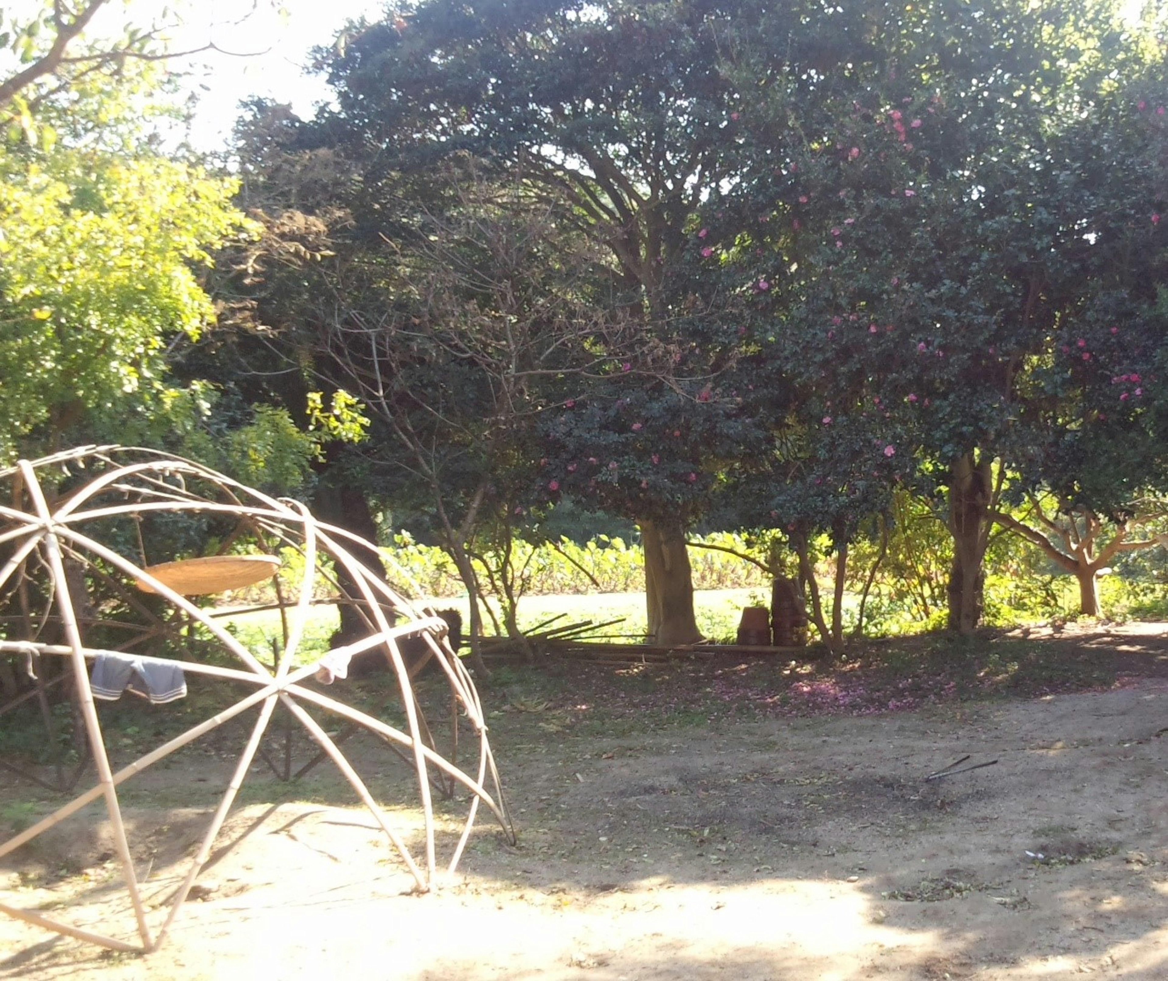 Structure de jeu sphérique unique entourée d'arbres dans un parc