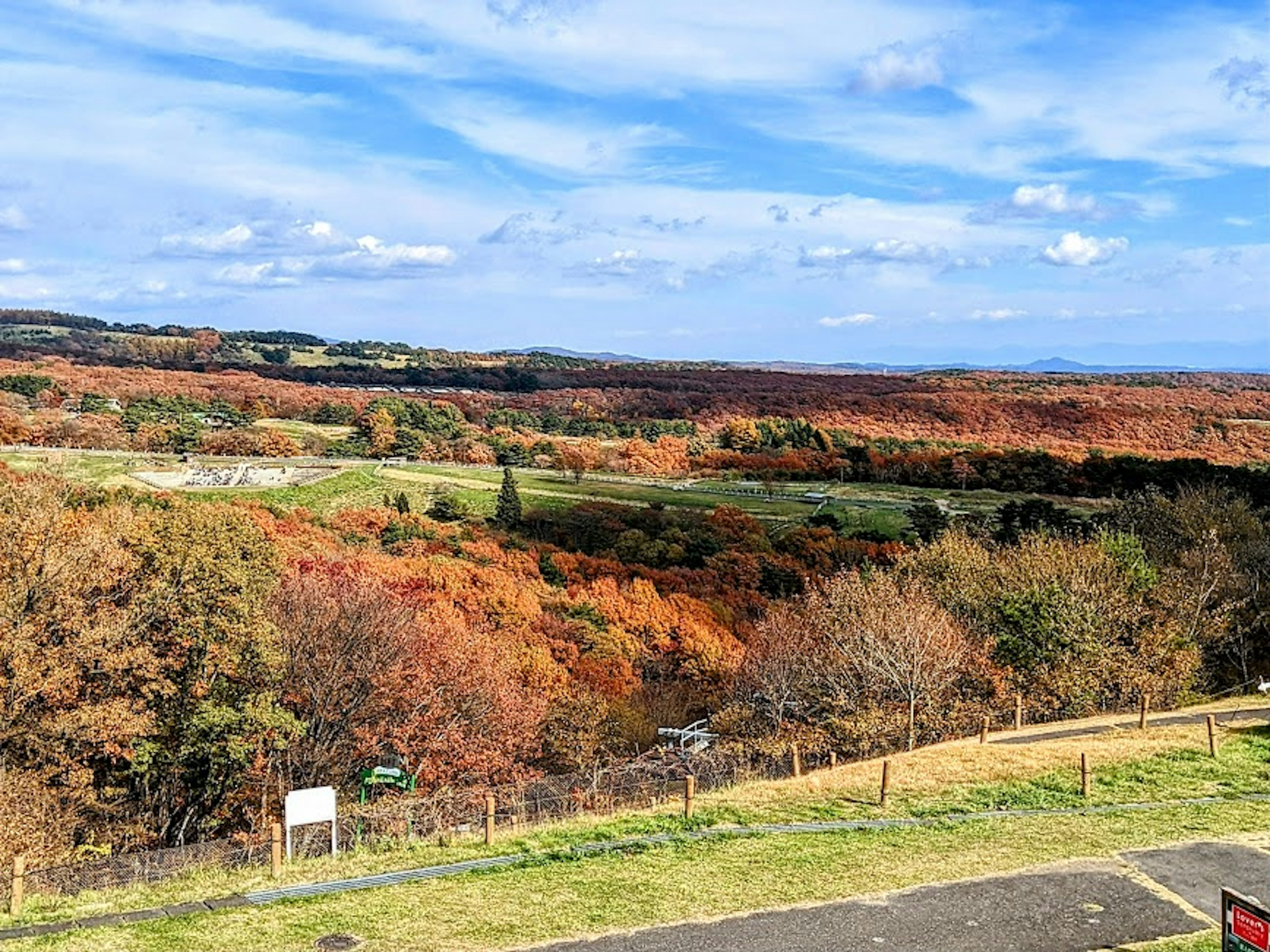 広がる秋の景色と青い空