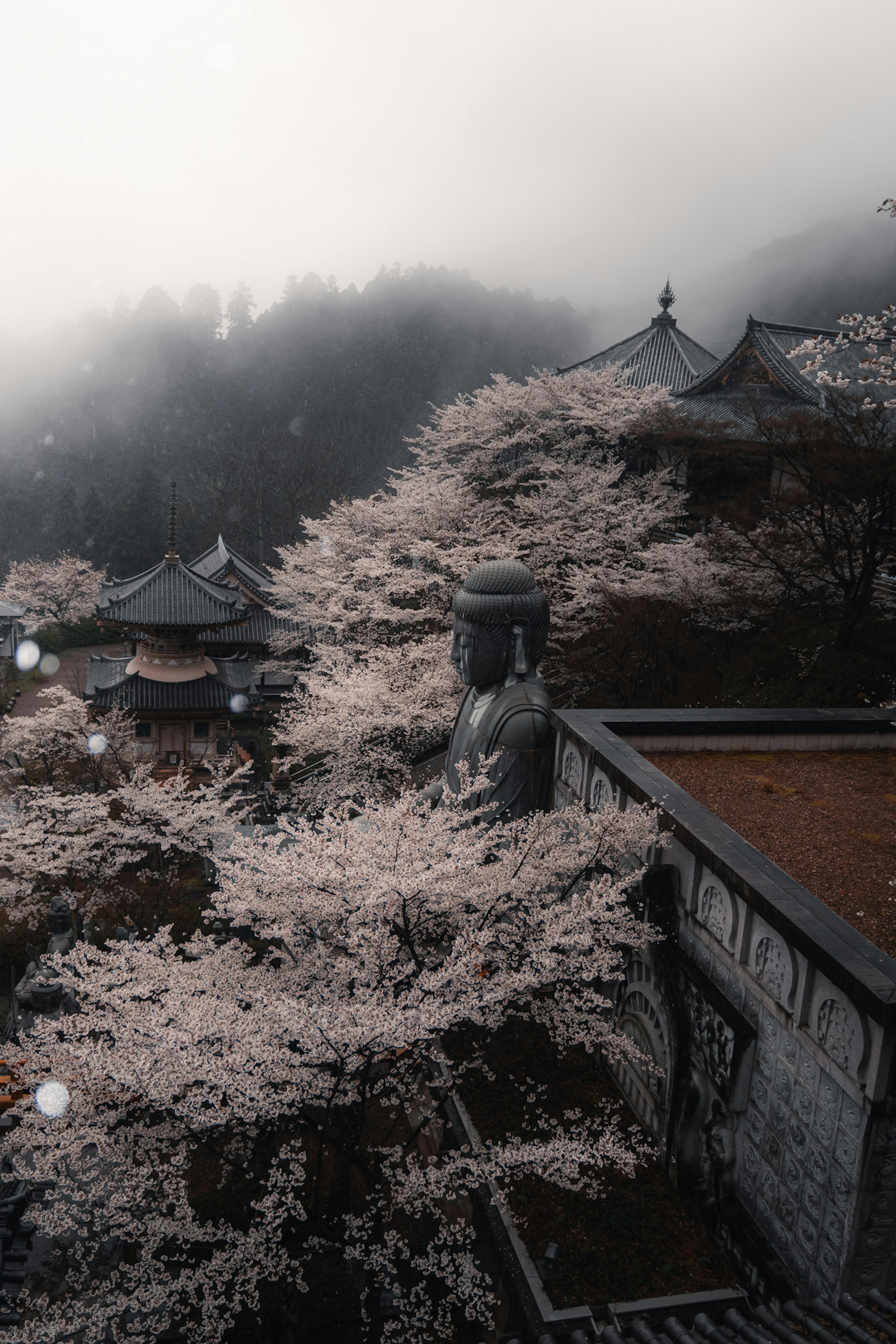 Scenic view of cherry blossom trees and ancient temple shrouded in mist