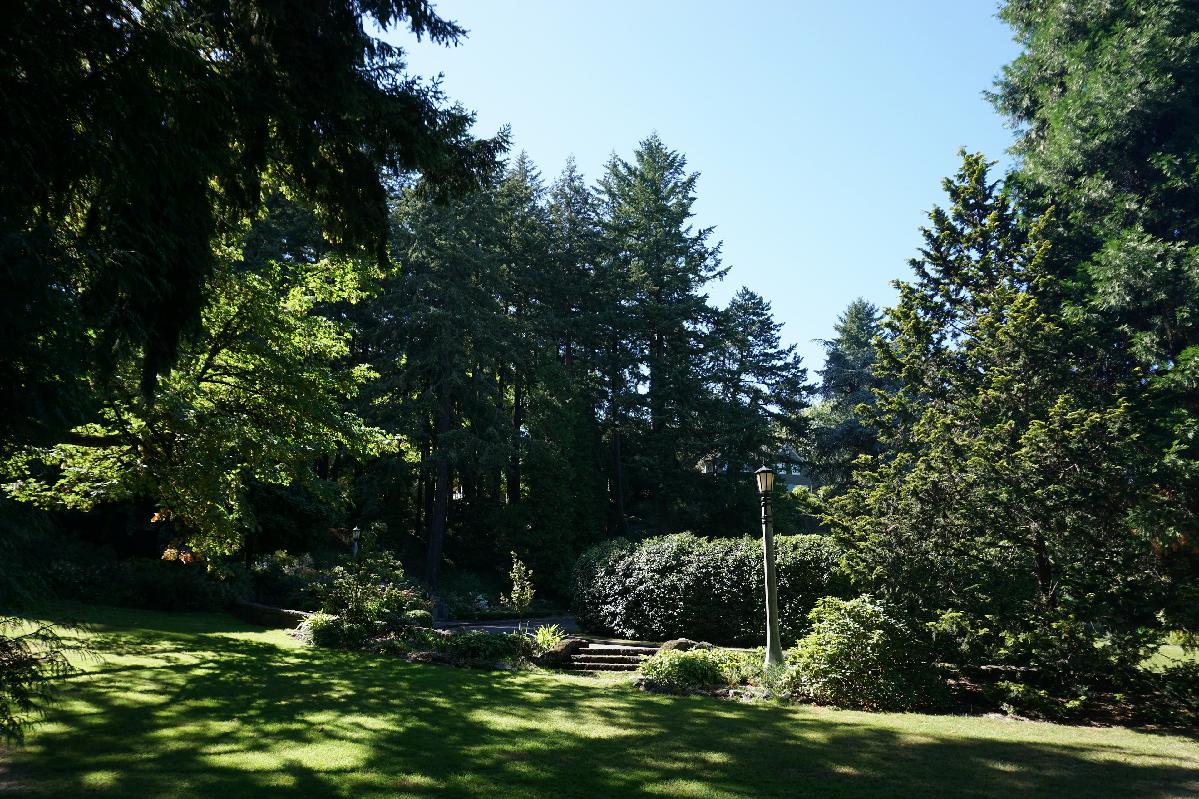 Paysage de parc luxuriant avec des arbres verts et un ciel bleu