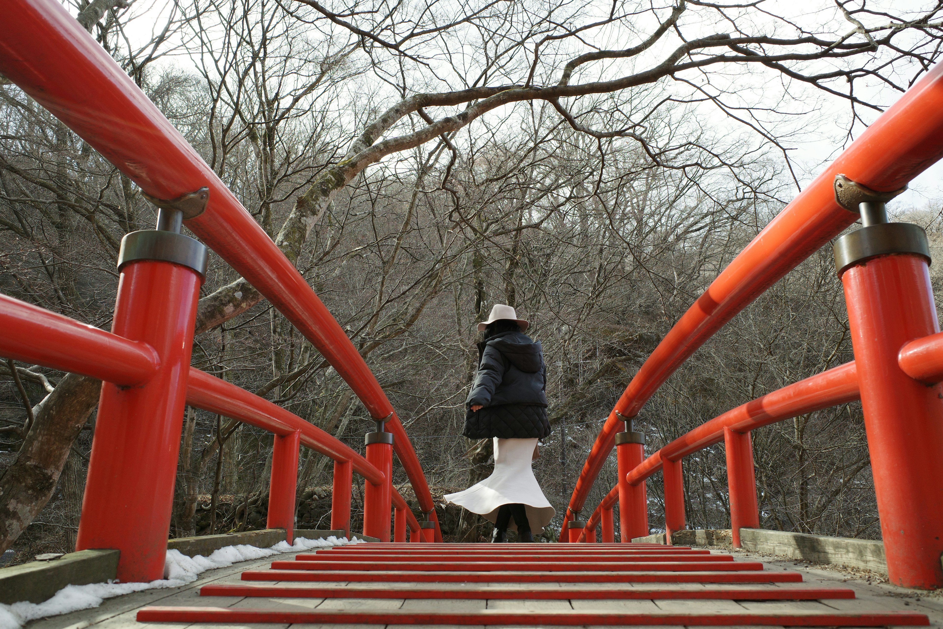 Persona de pie en un puente rojo con árboles de invierno de fondo