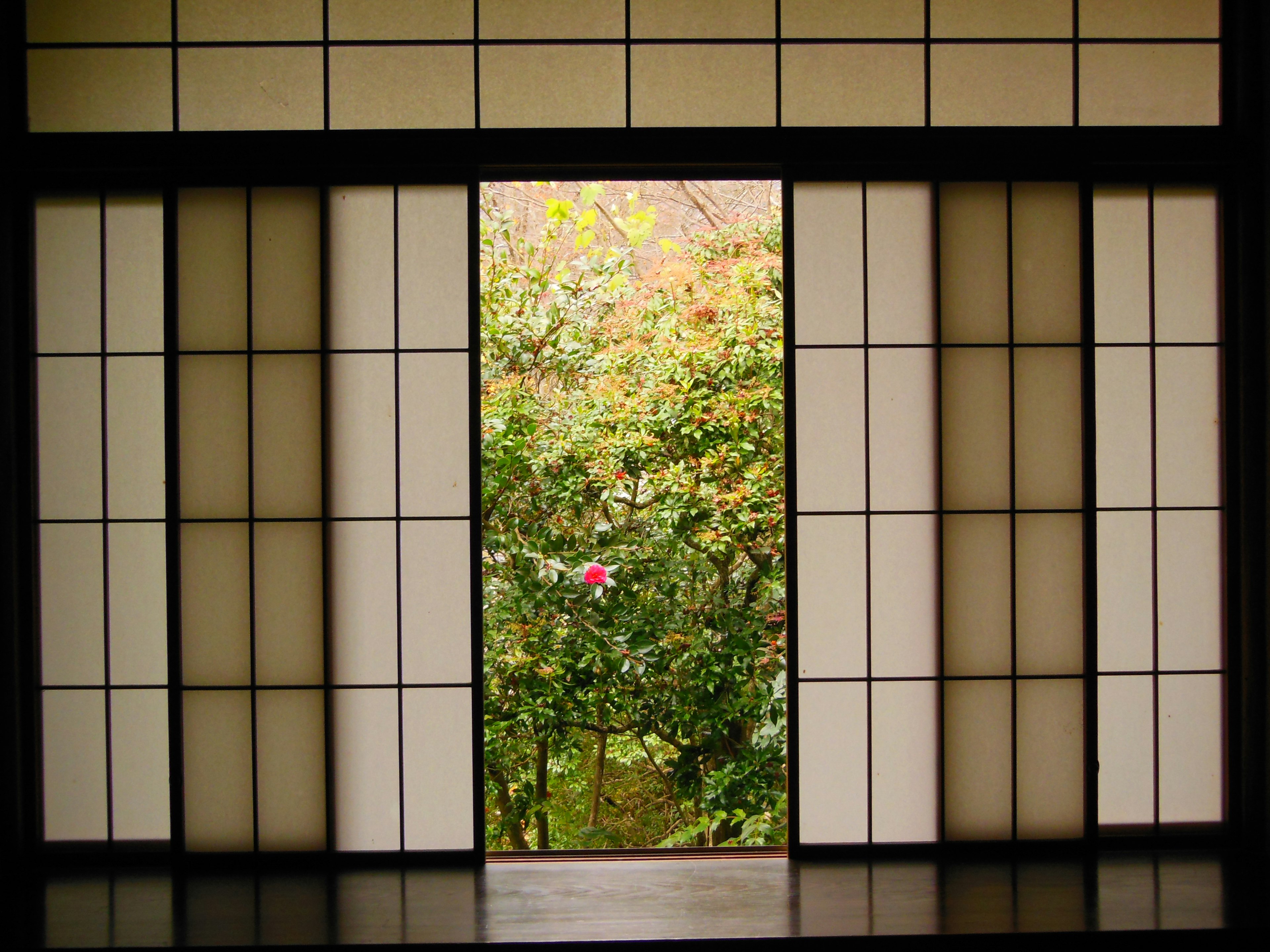 Vista de un jardín a través de puertas shoji con vegetación y flores