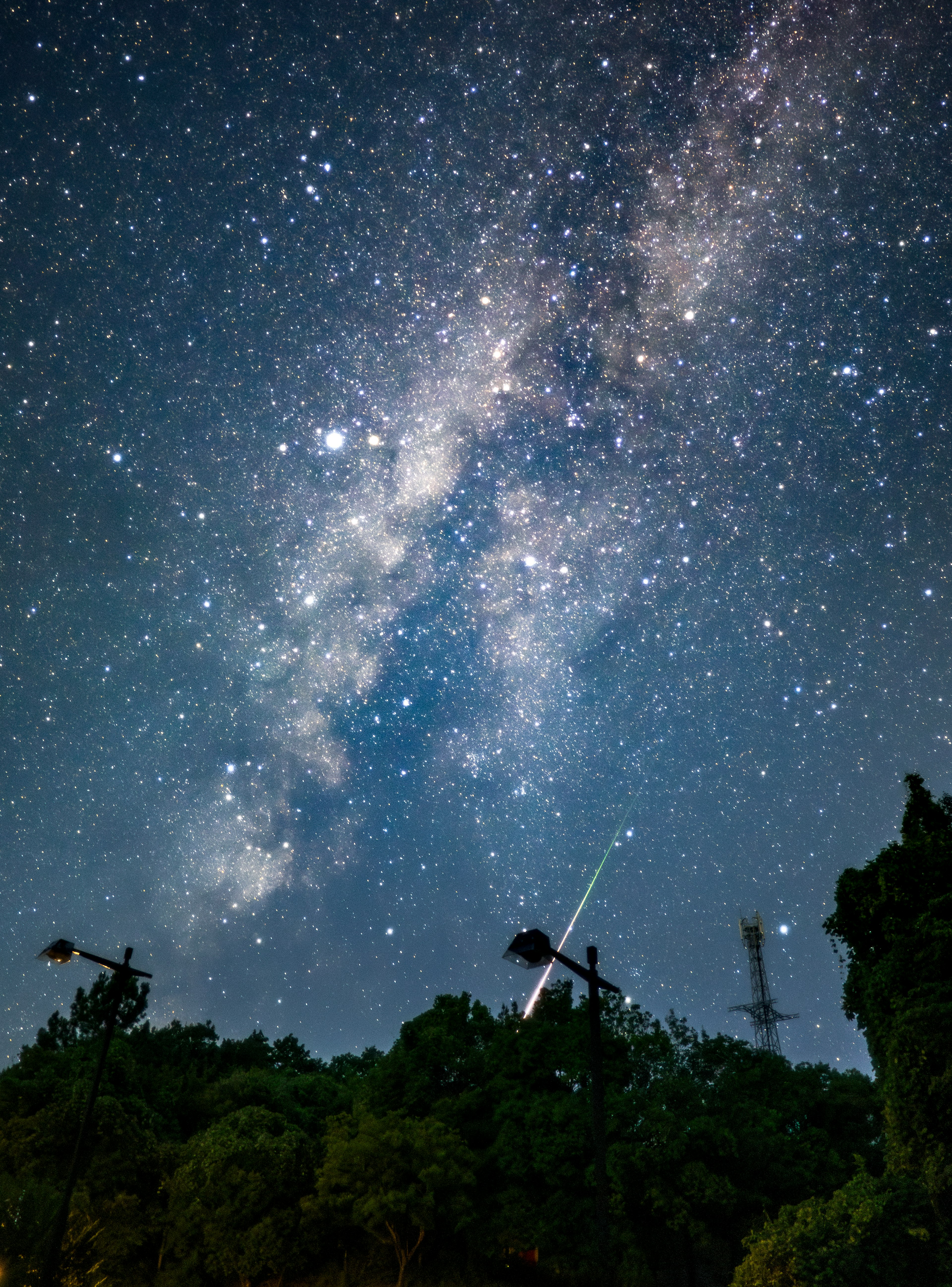 星空と天の川を背景にした森のシルエット