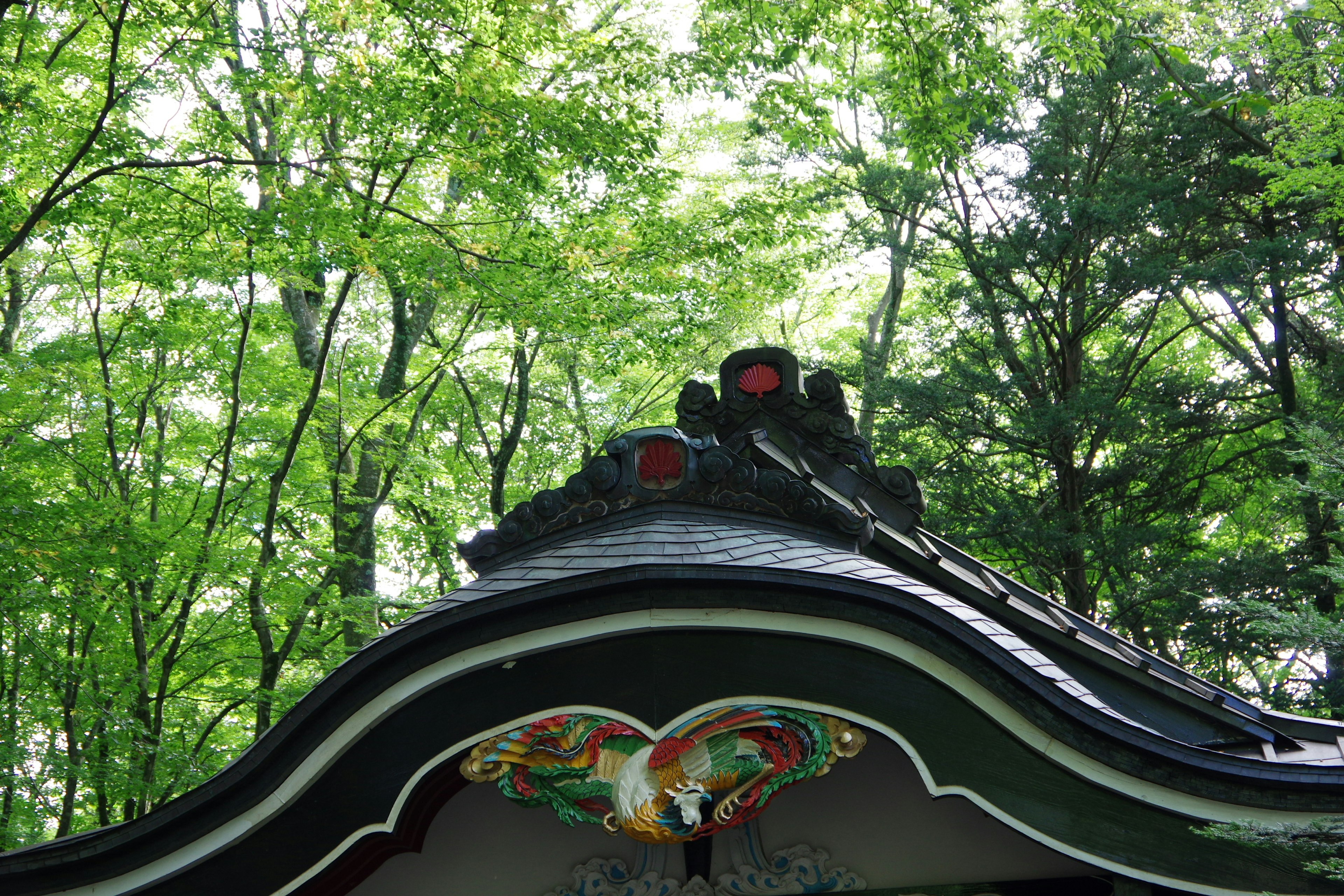 緑の木々の中にある装飾された屋根の一部