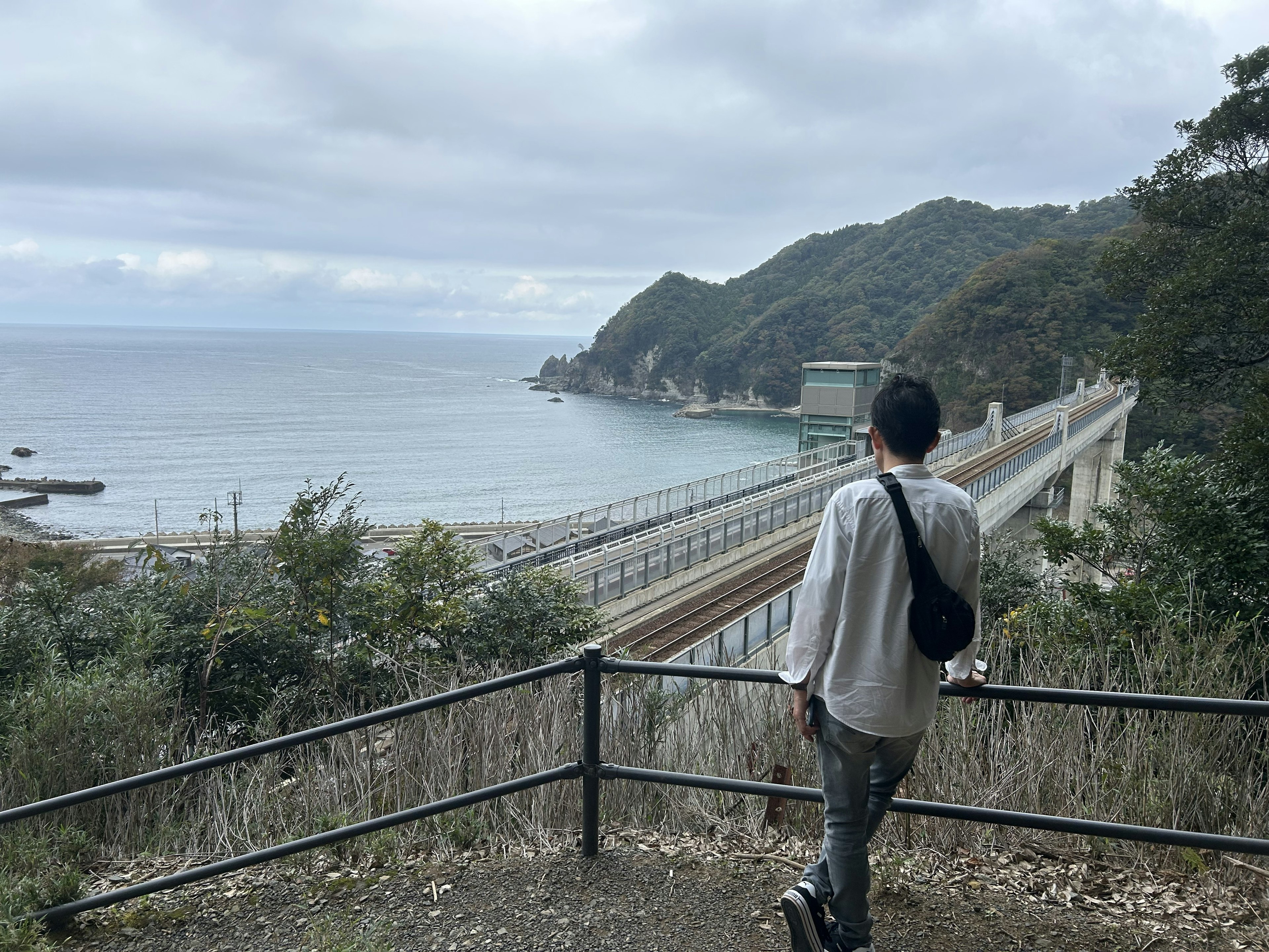 海岸線と山々を背景に立つ男性の後ろ姿