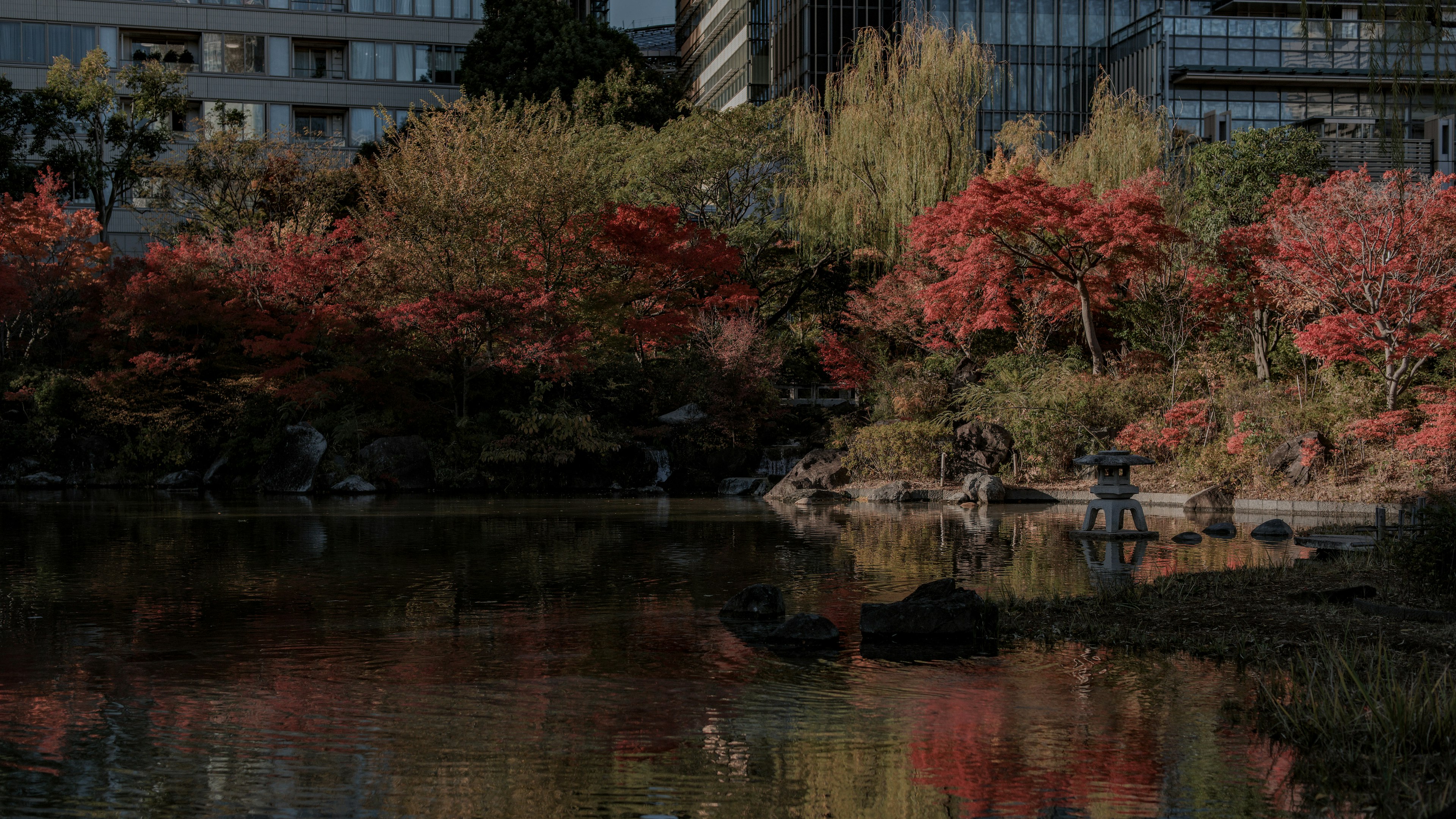 Autumn leaves reflected in a pond with skyscrapers in the background