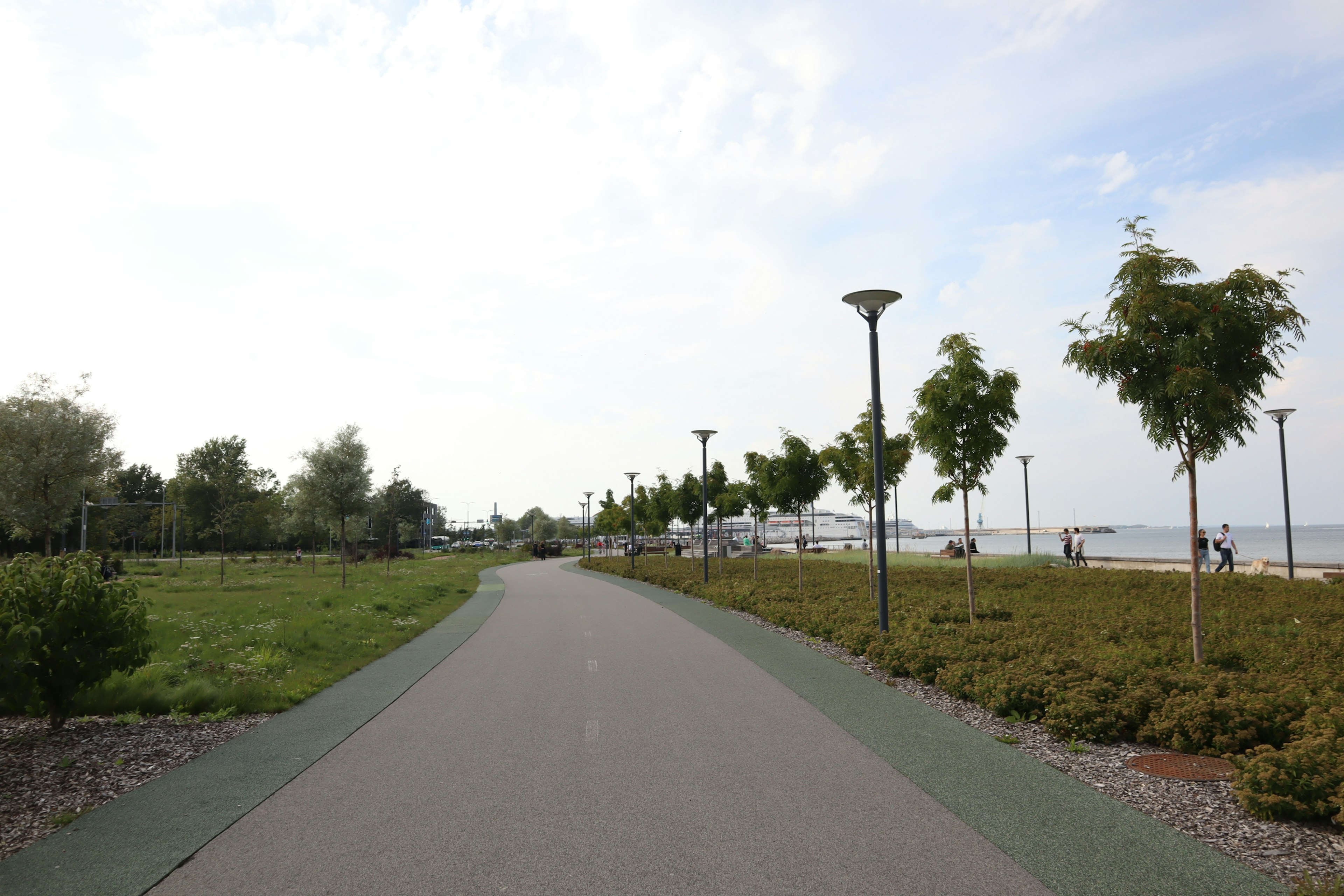 Un chemin de parc bordé d'arbres et d'herbe verte