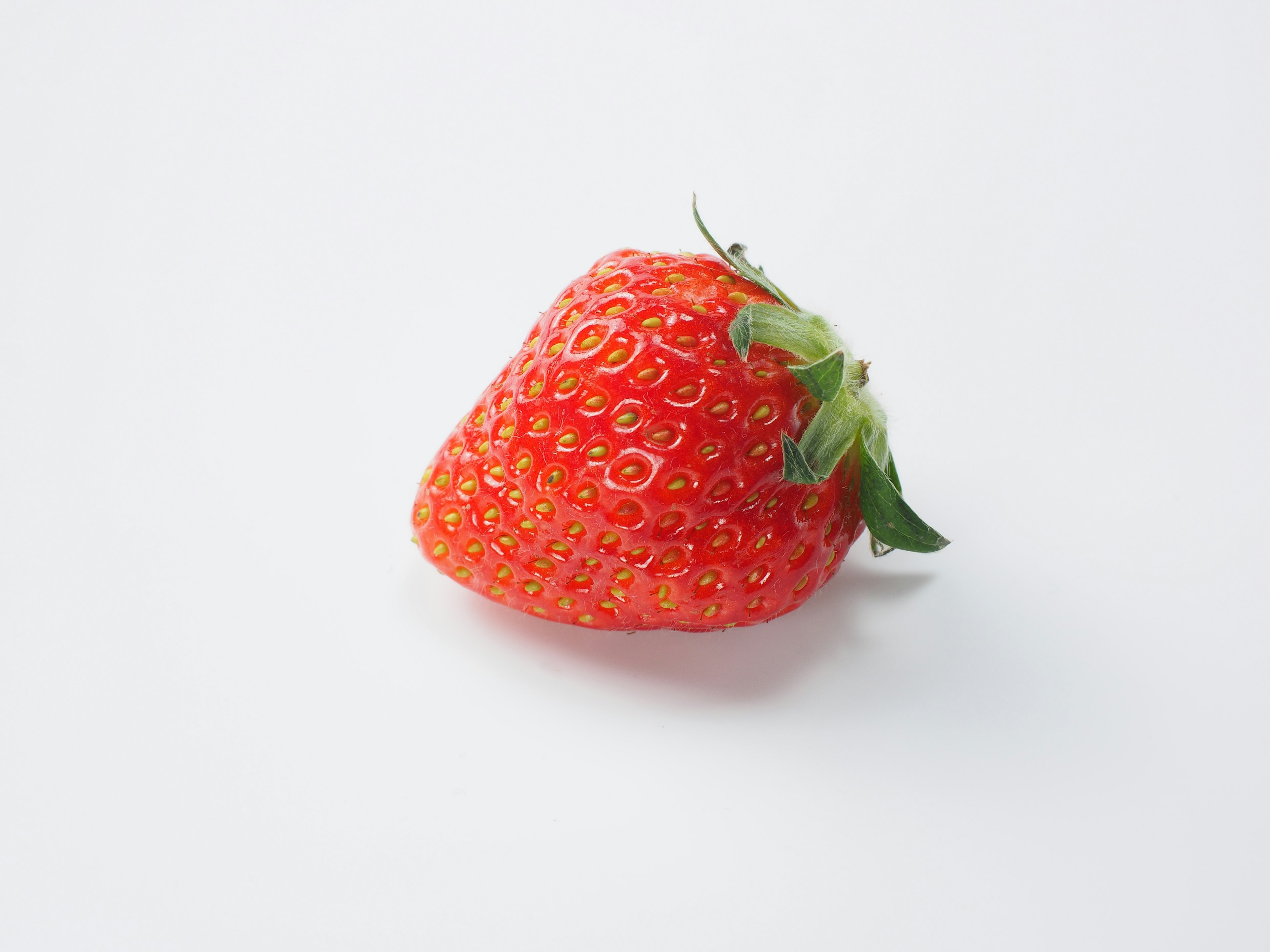 Une fraise rouge vibrante posée sur un fond blanc