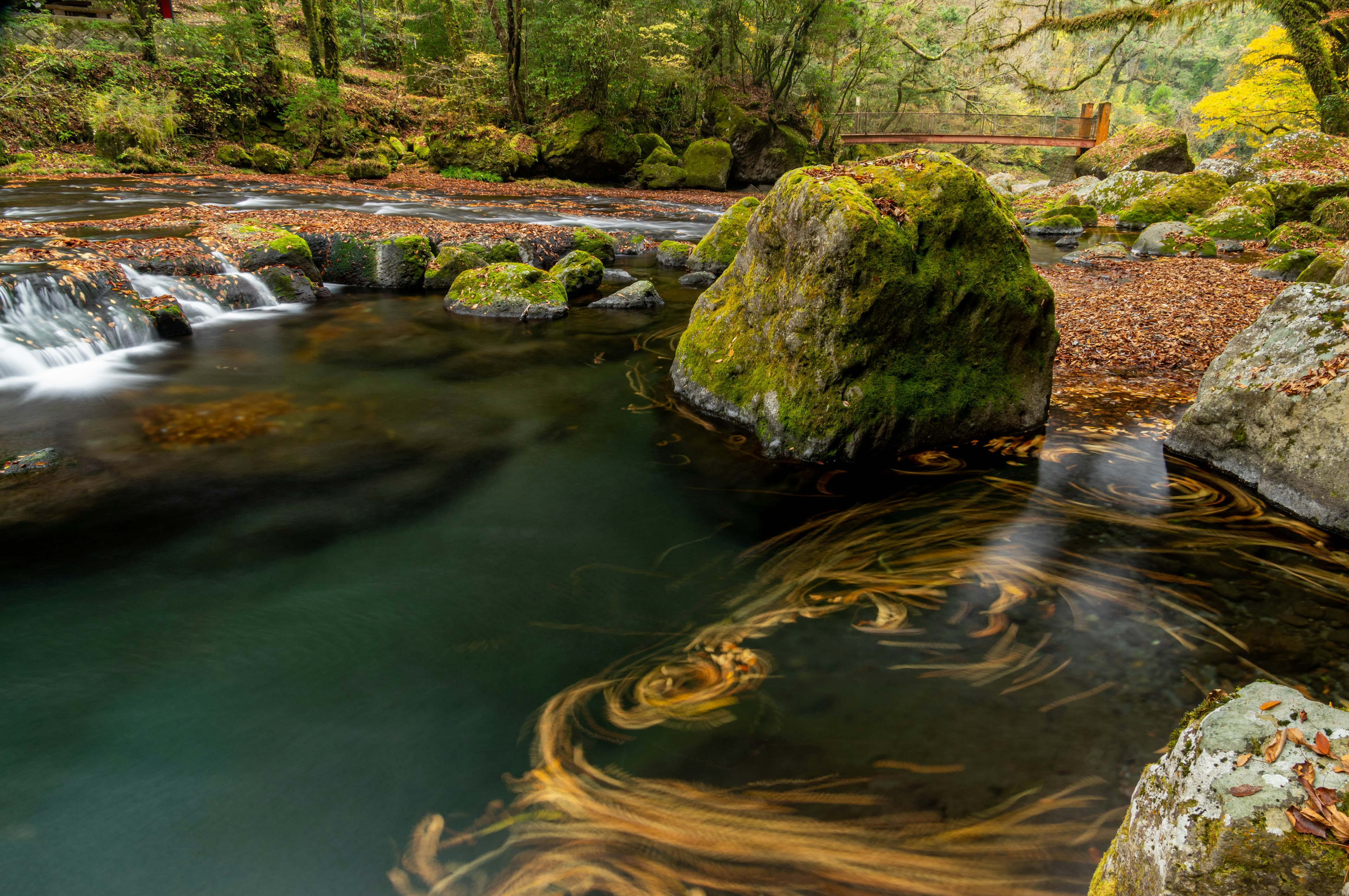 Ruhiger Bach mit moosbedeckten Steinen und wirbelnden Blättern