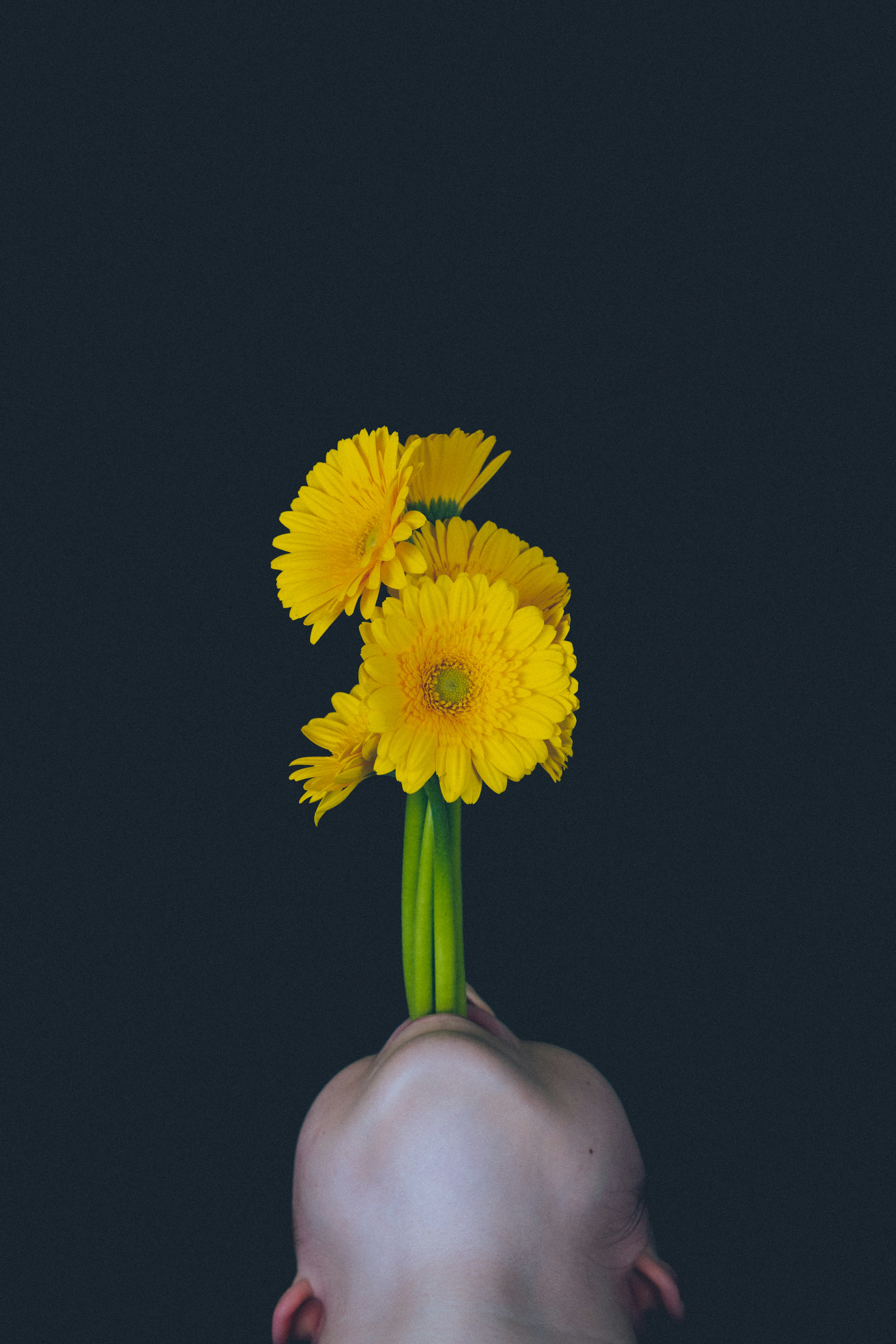 Un visage humain avec des fleurs jaunes tenues dans la bouche