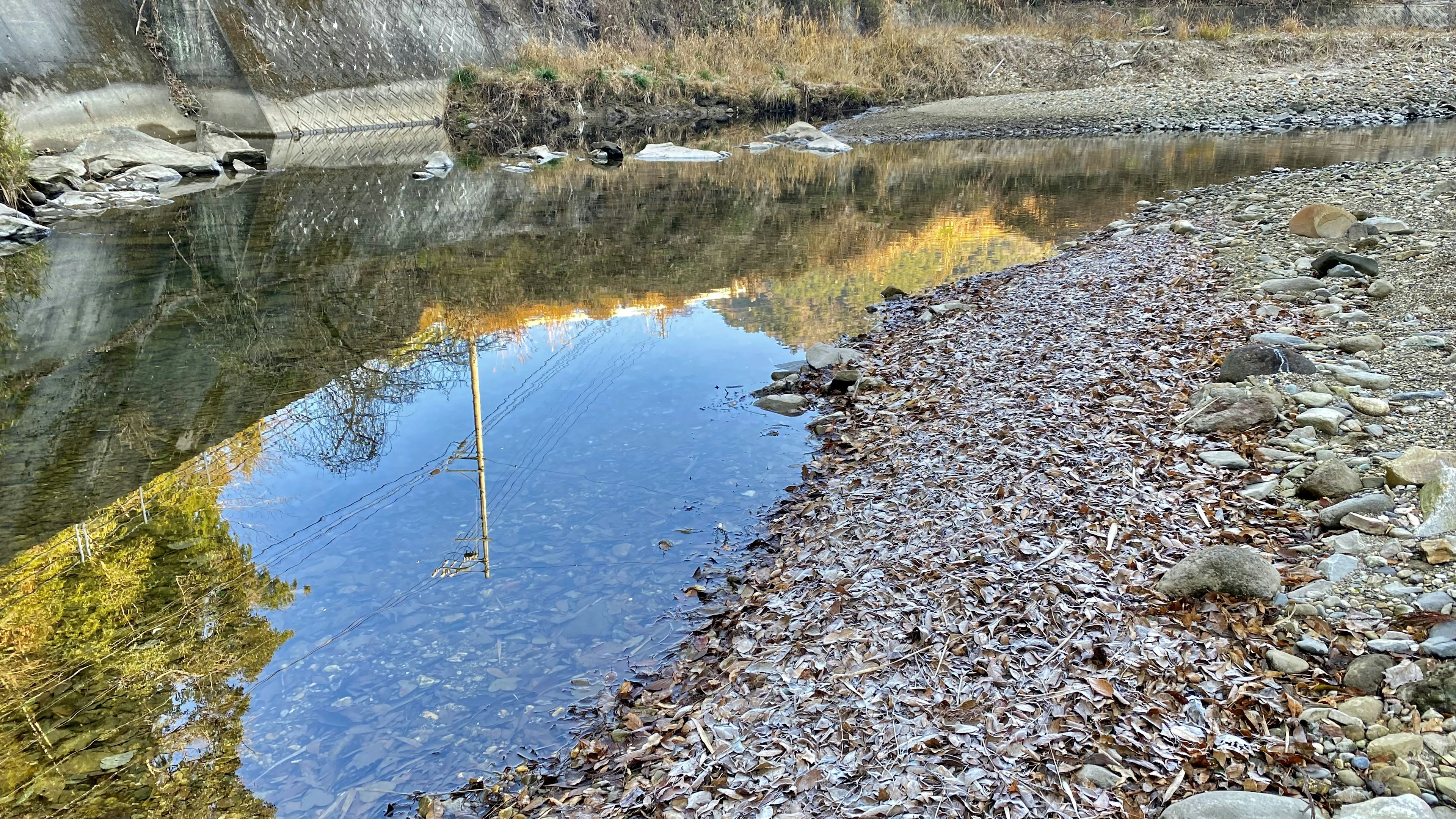 静かな小川の風景、穏やかな水面に映る景色、岸辺の落ち葉