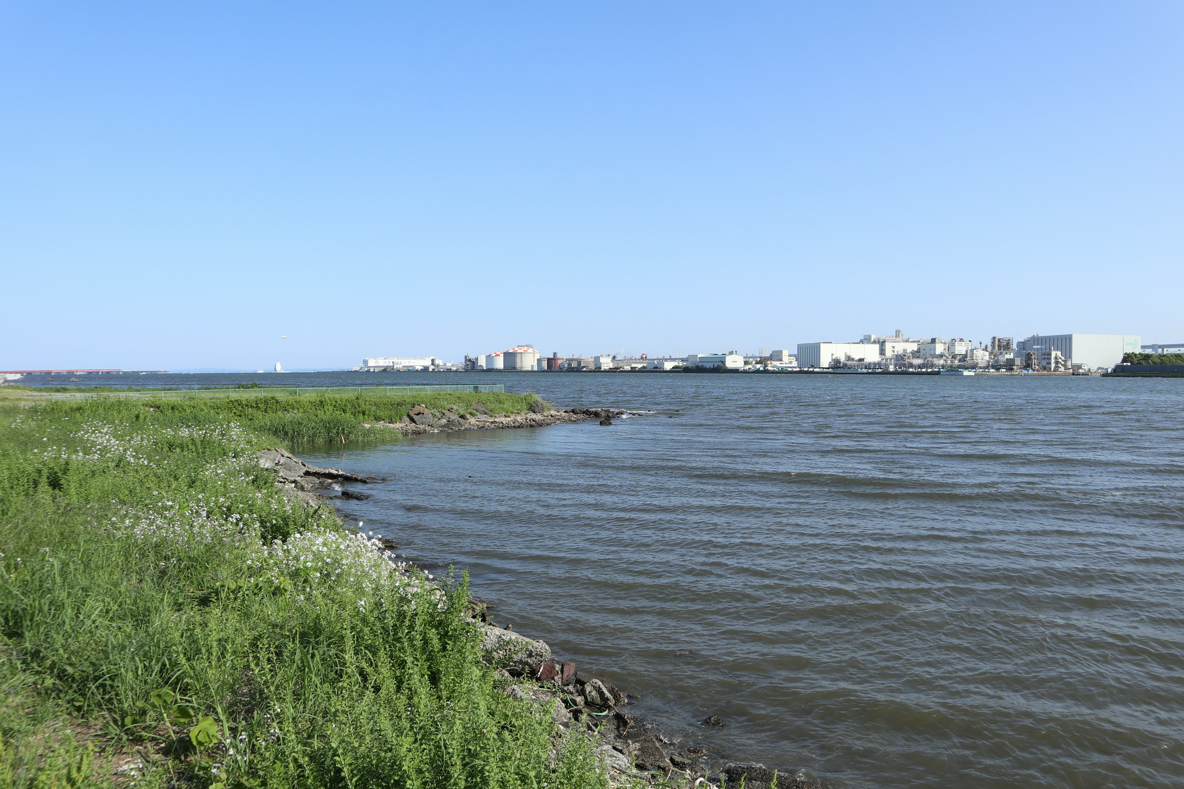 Panoramic view of a riverbank with green grass and calm water