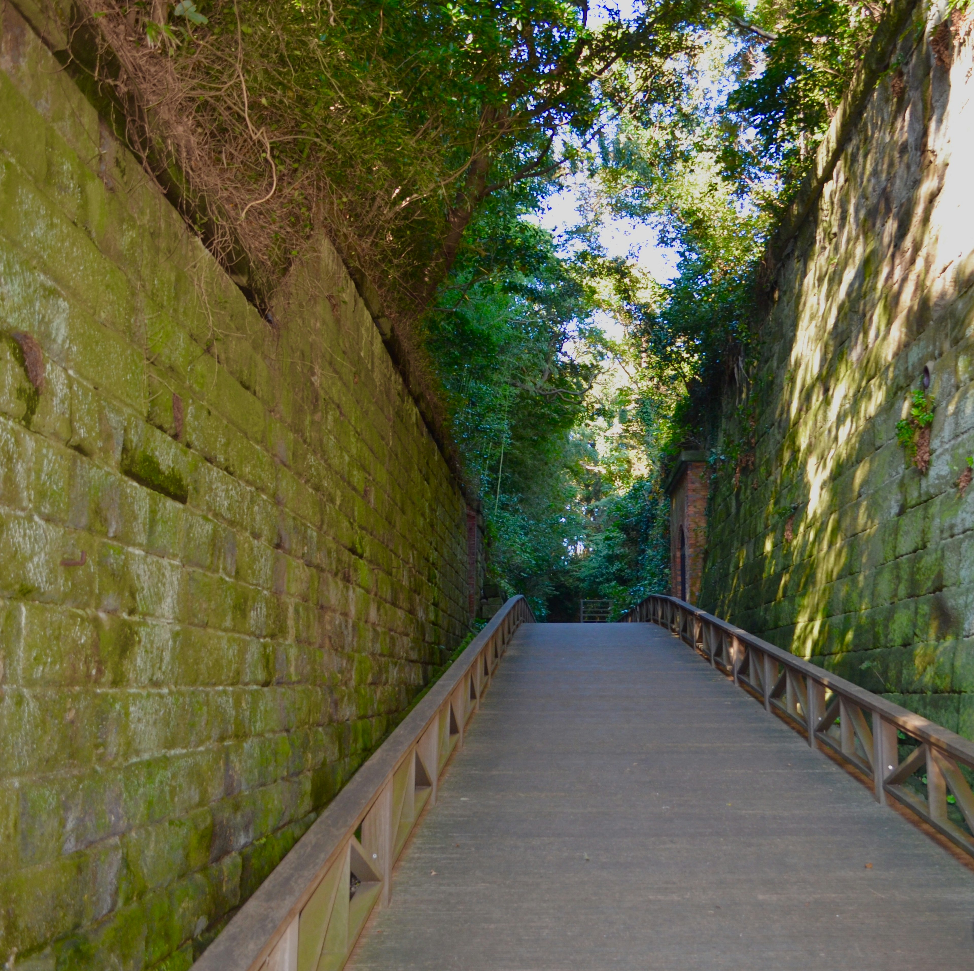 Passerelle en bois entre des murs en pierre couverts de verdure