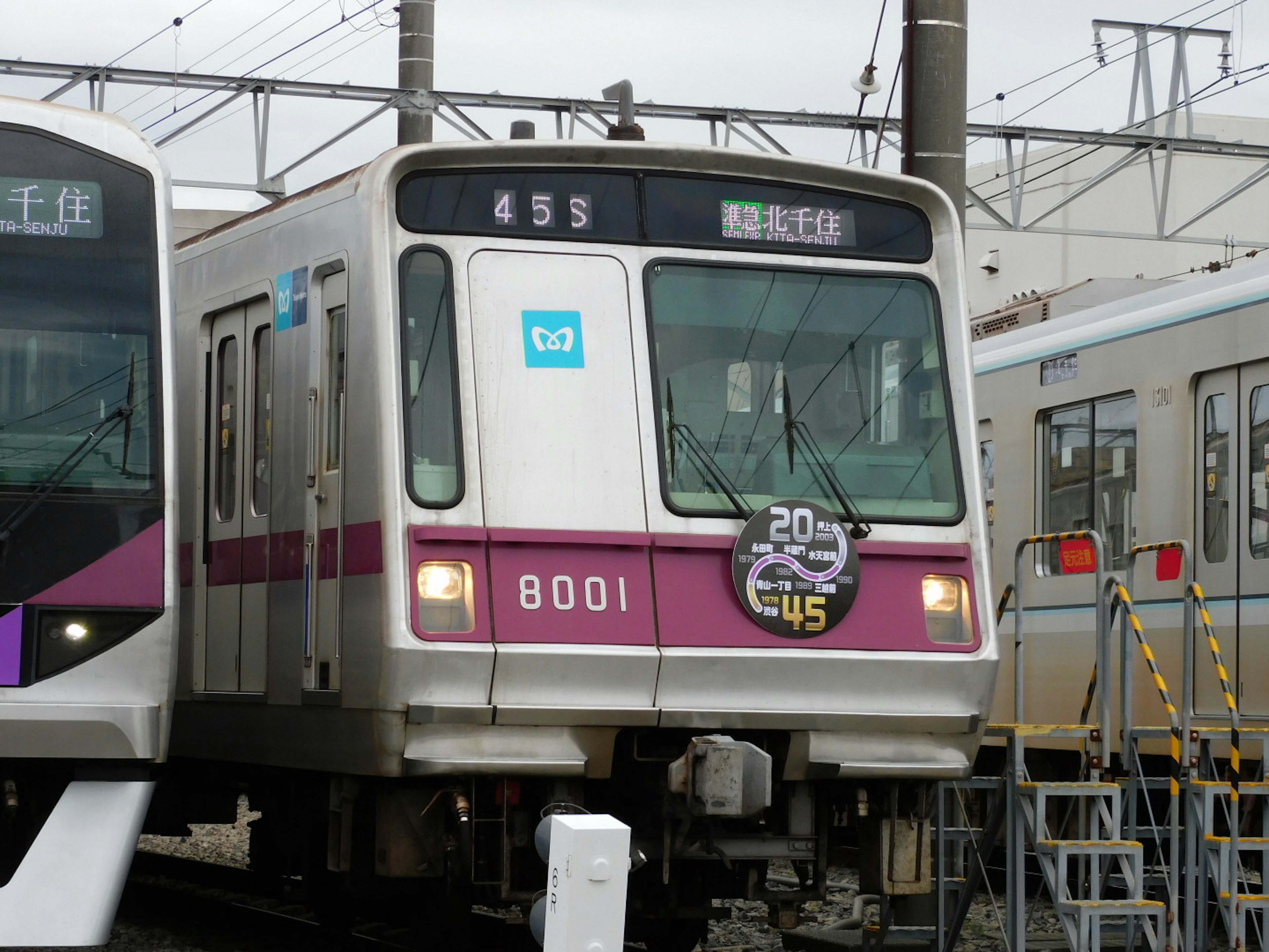 Tren número 8001 de color púrpura estacionado en la estación