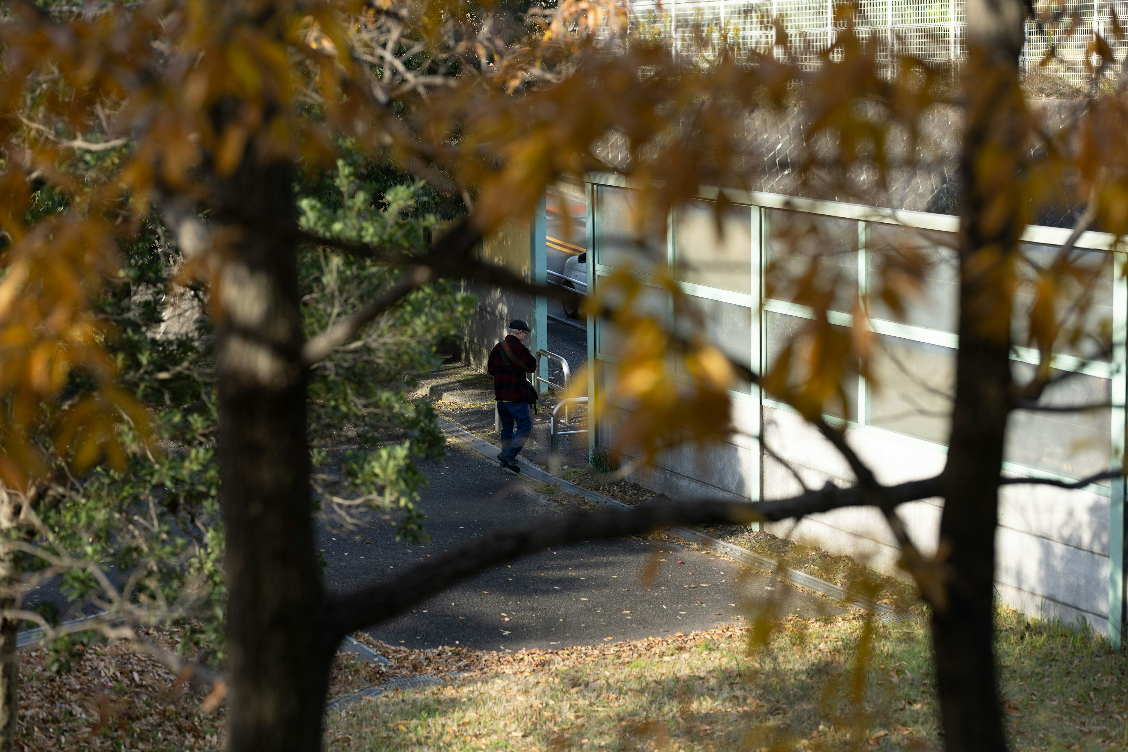 Vista de personas caminando cerca de un edificio enmarcado por hojas de otoño