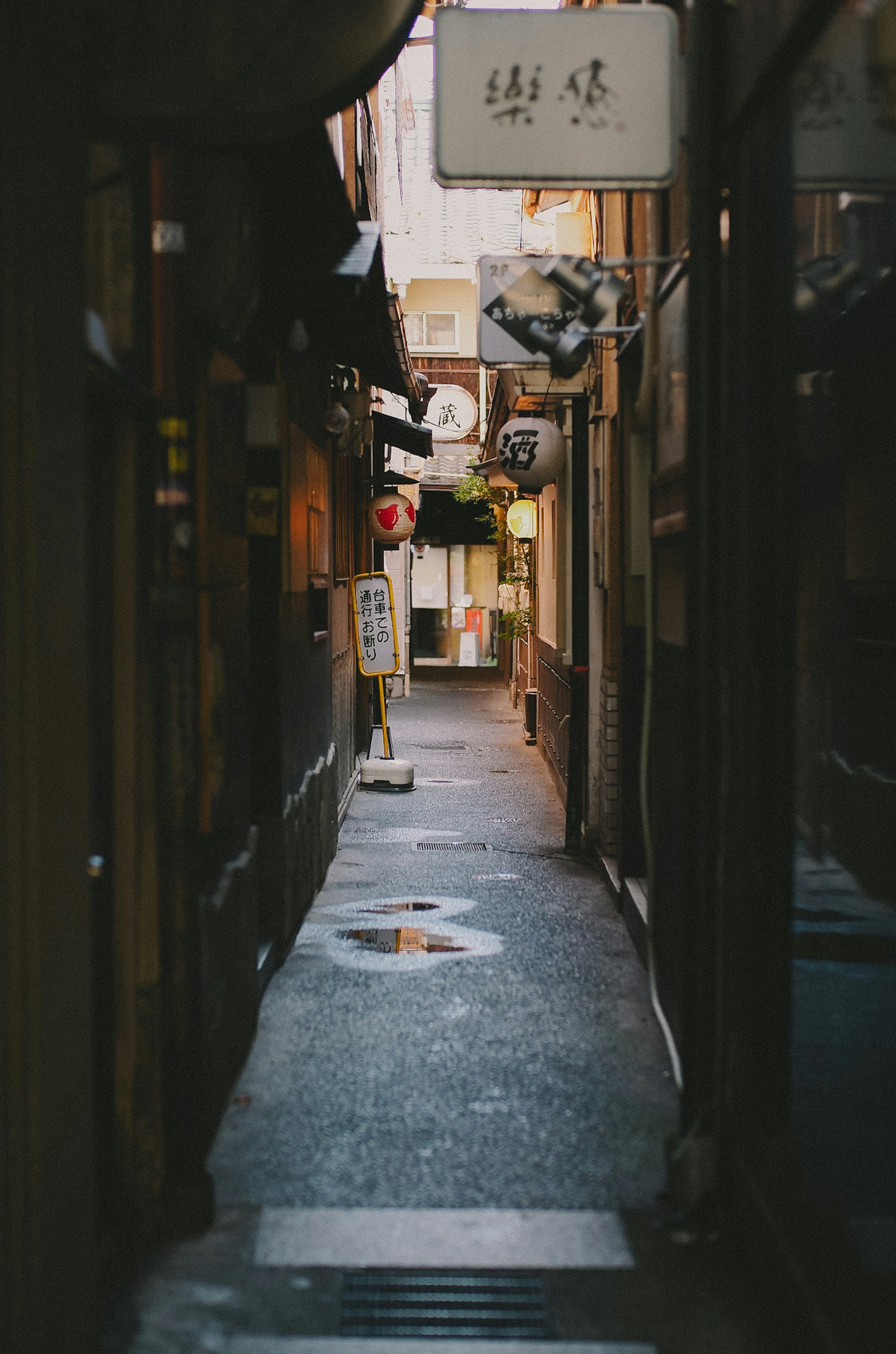 Ruelle étroite avec des enseignes traditionnelles et un chemin pavé sombre