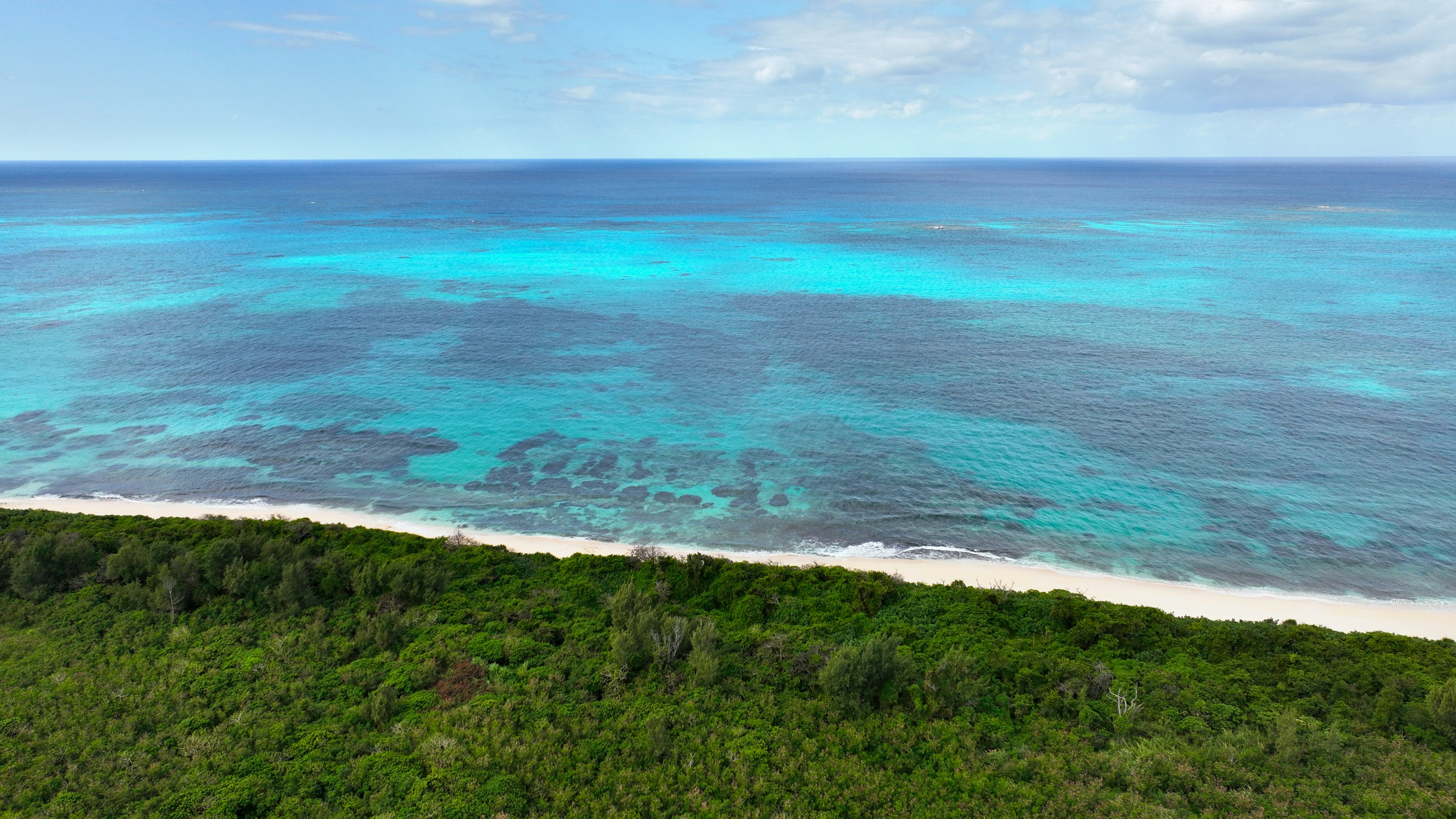 Vue aérienne de l'océan turquoise rencontrant une côte verdoyante