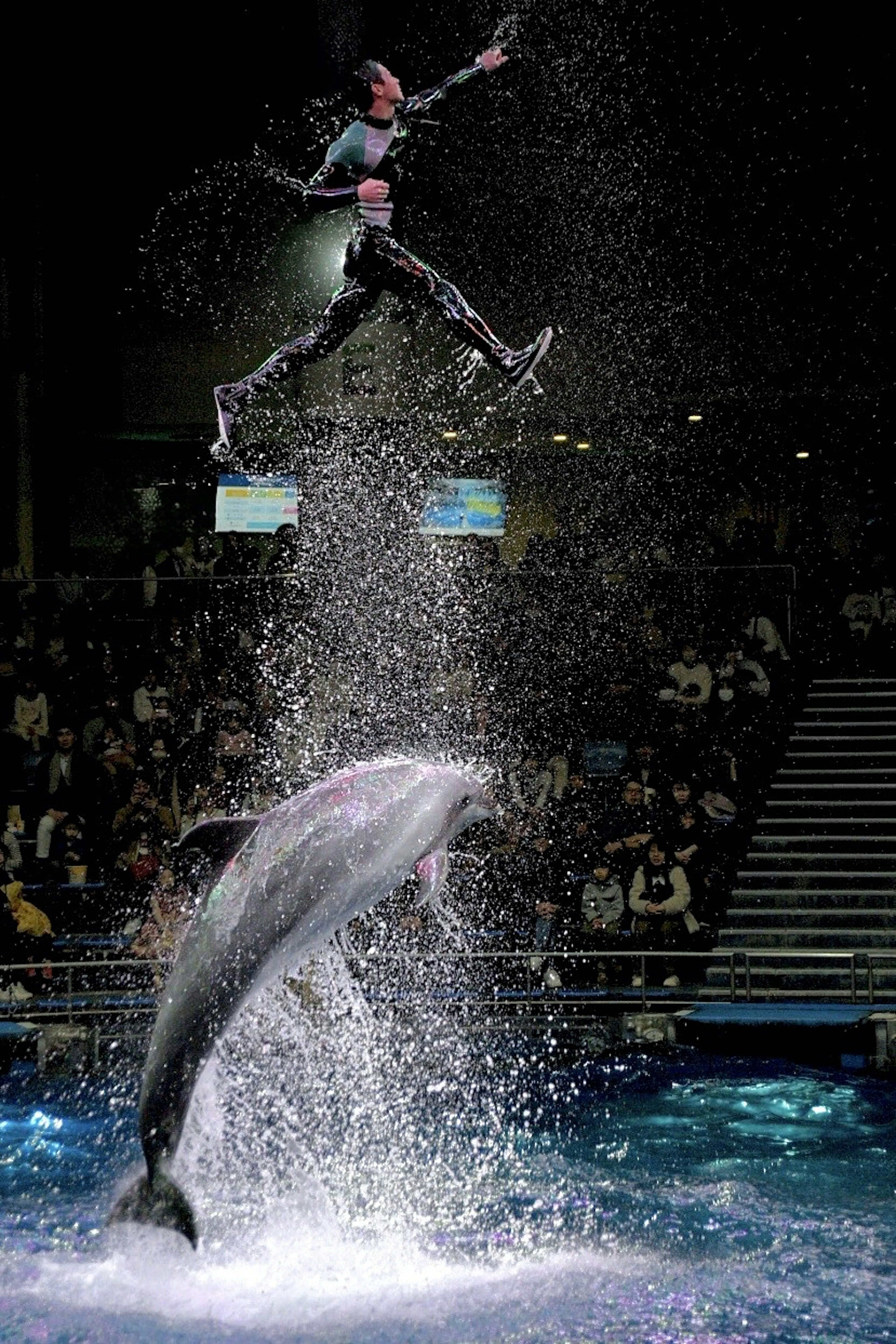 Un uomo che salta sopra un delfino in uno spettacolo acquatico