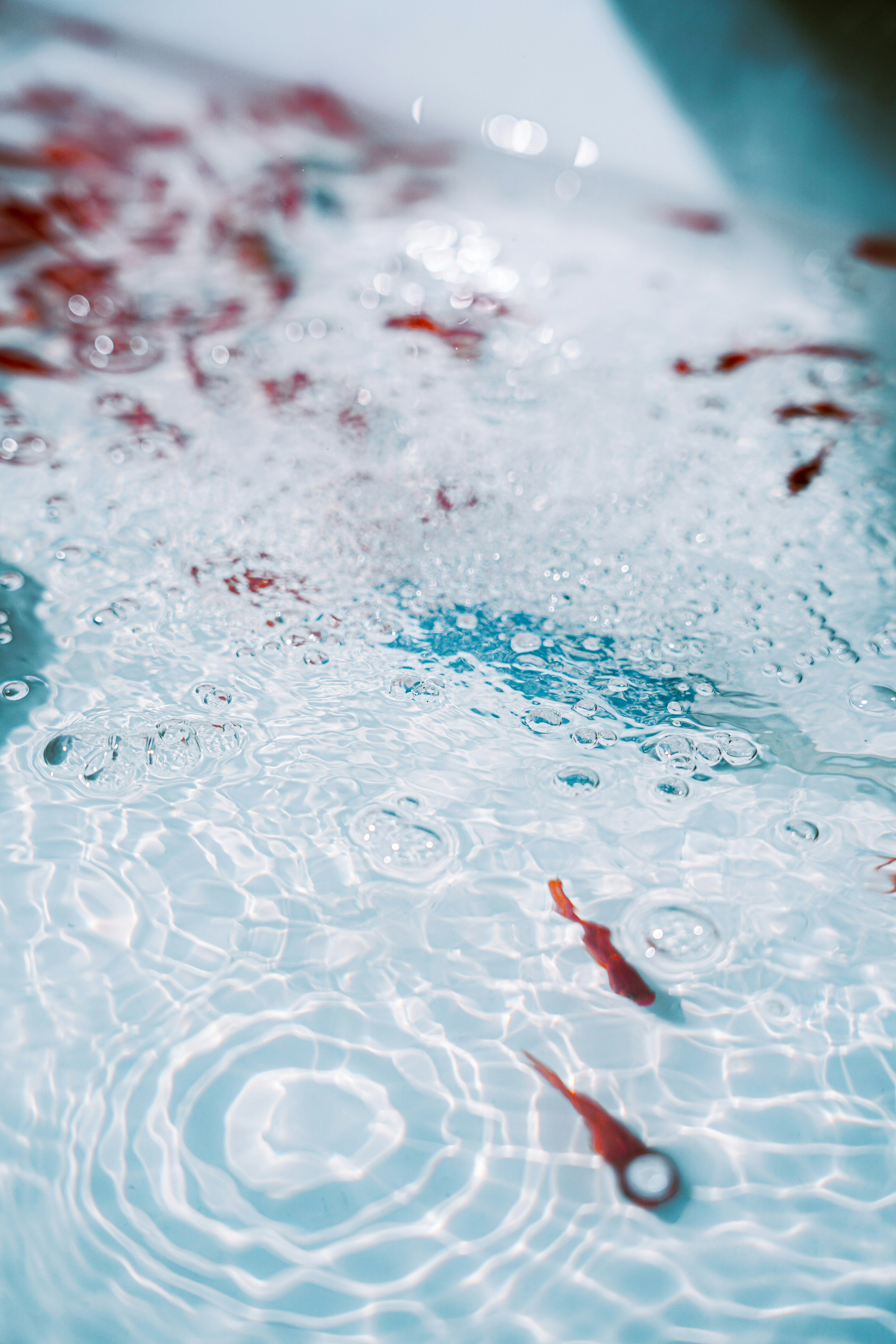 Kleine rote Fische, die an der Wasseroberfläche mit Wellen schwimmen