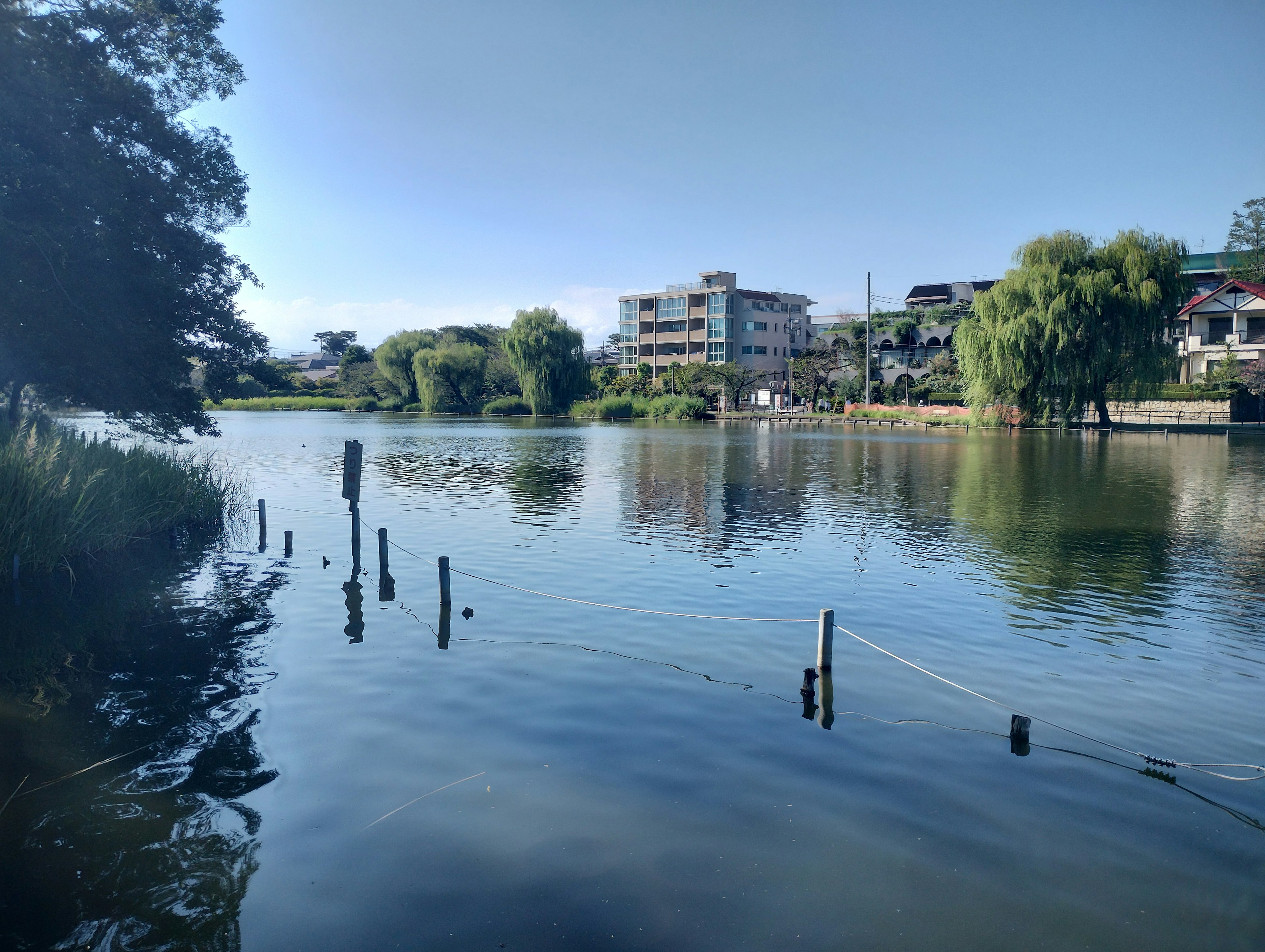 Vue sereine du lac avec des bâtiments environnants