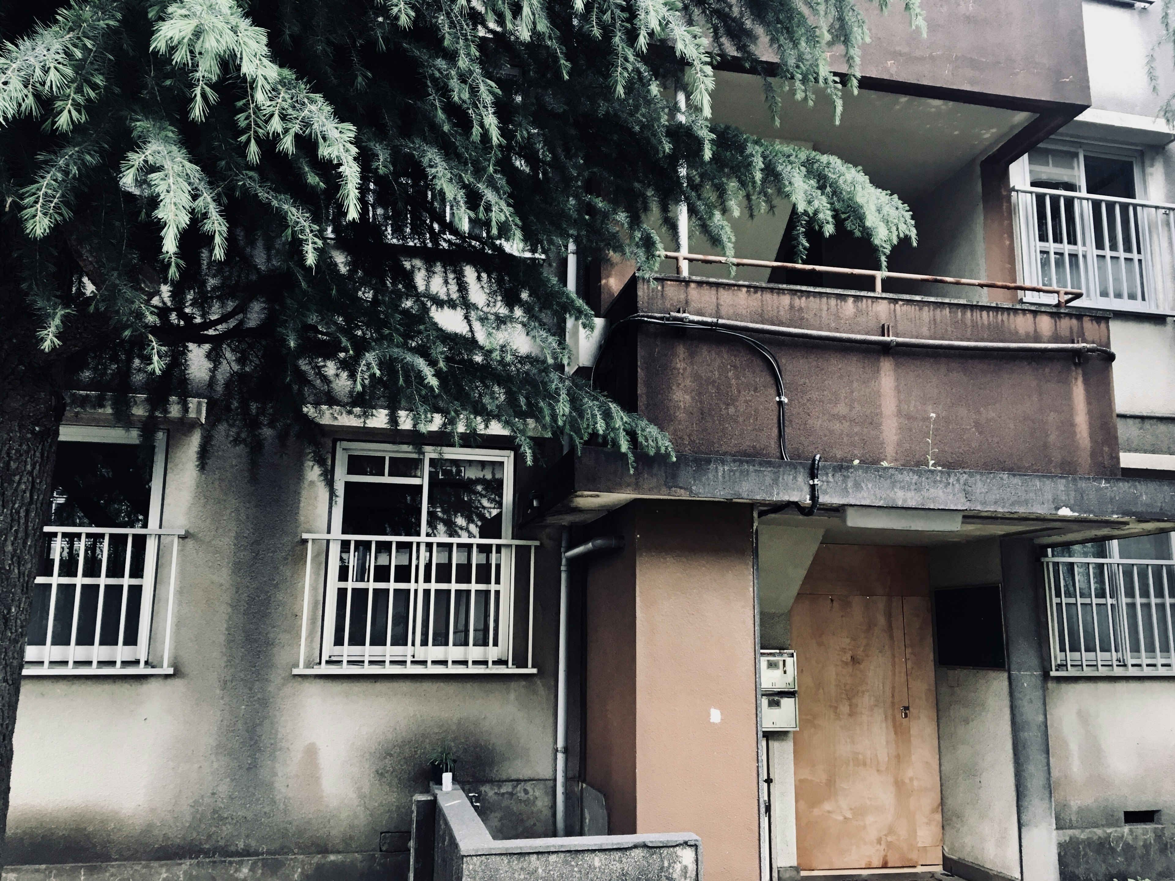 Vista esterna di un vecchio edificio con alberi