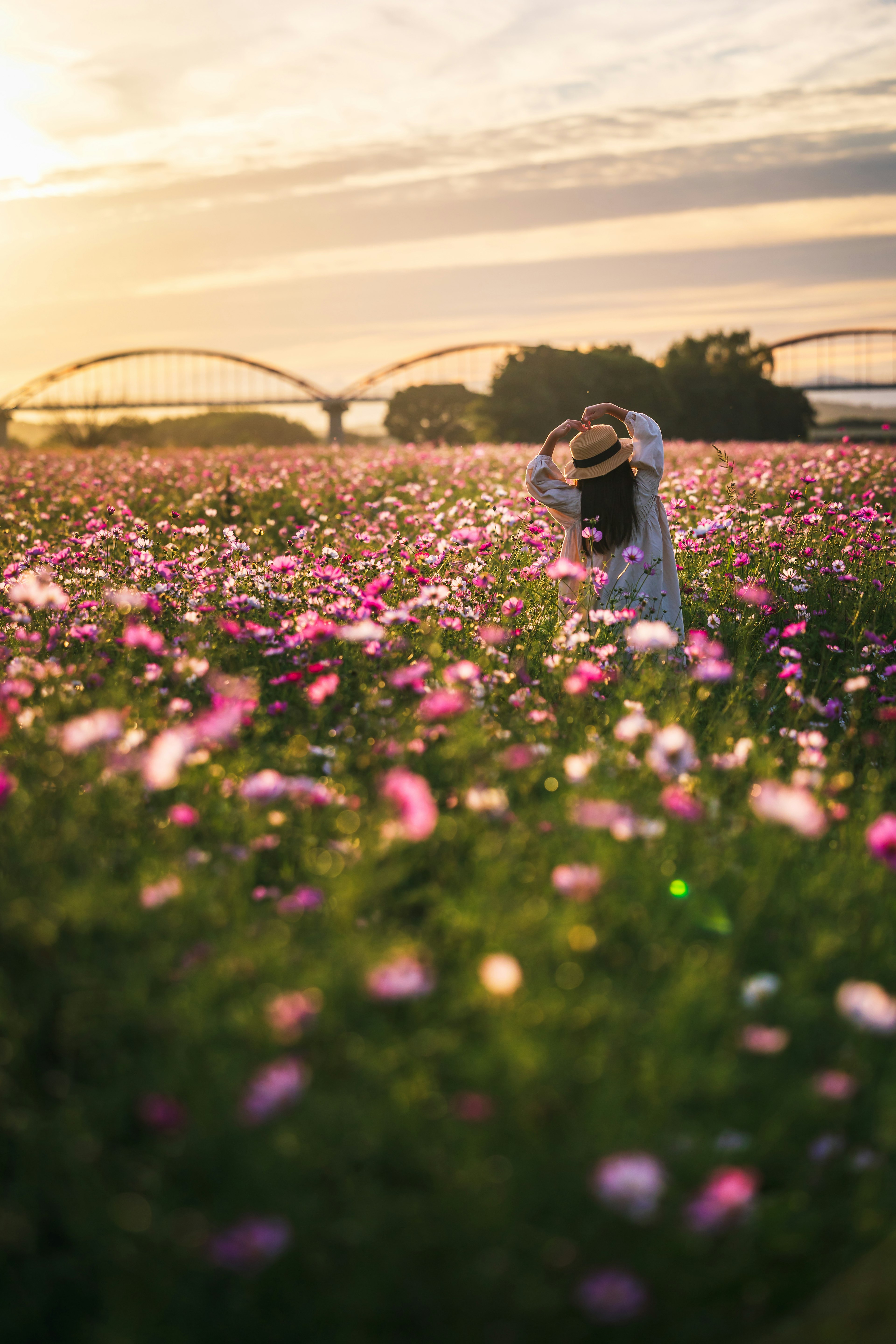 Mujer posando en un campo de flores al atardecer