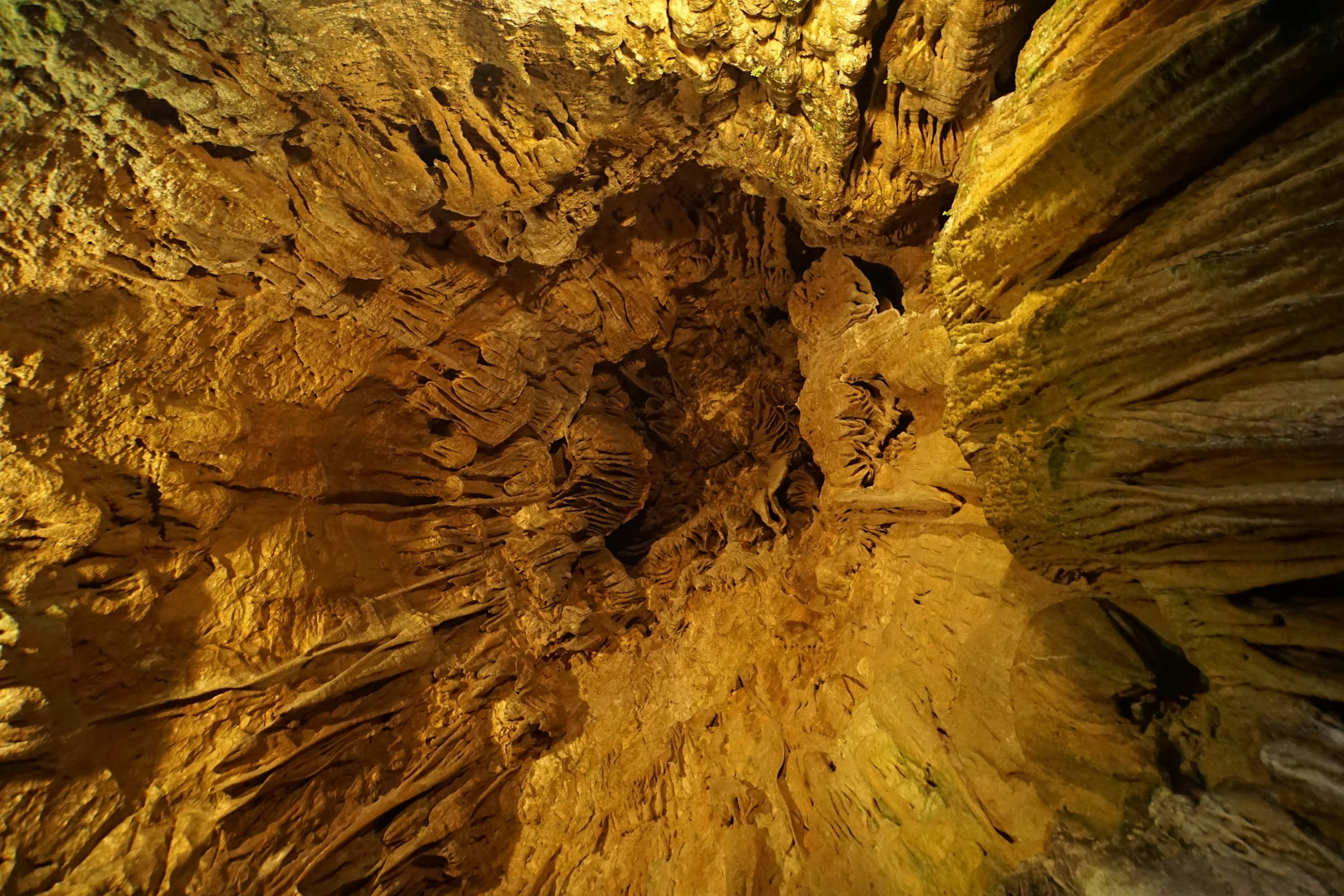 Detailed rock formations of a cave ceiling illuminated in golden hues