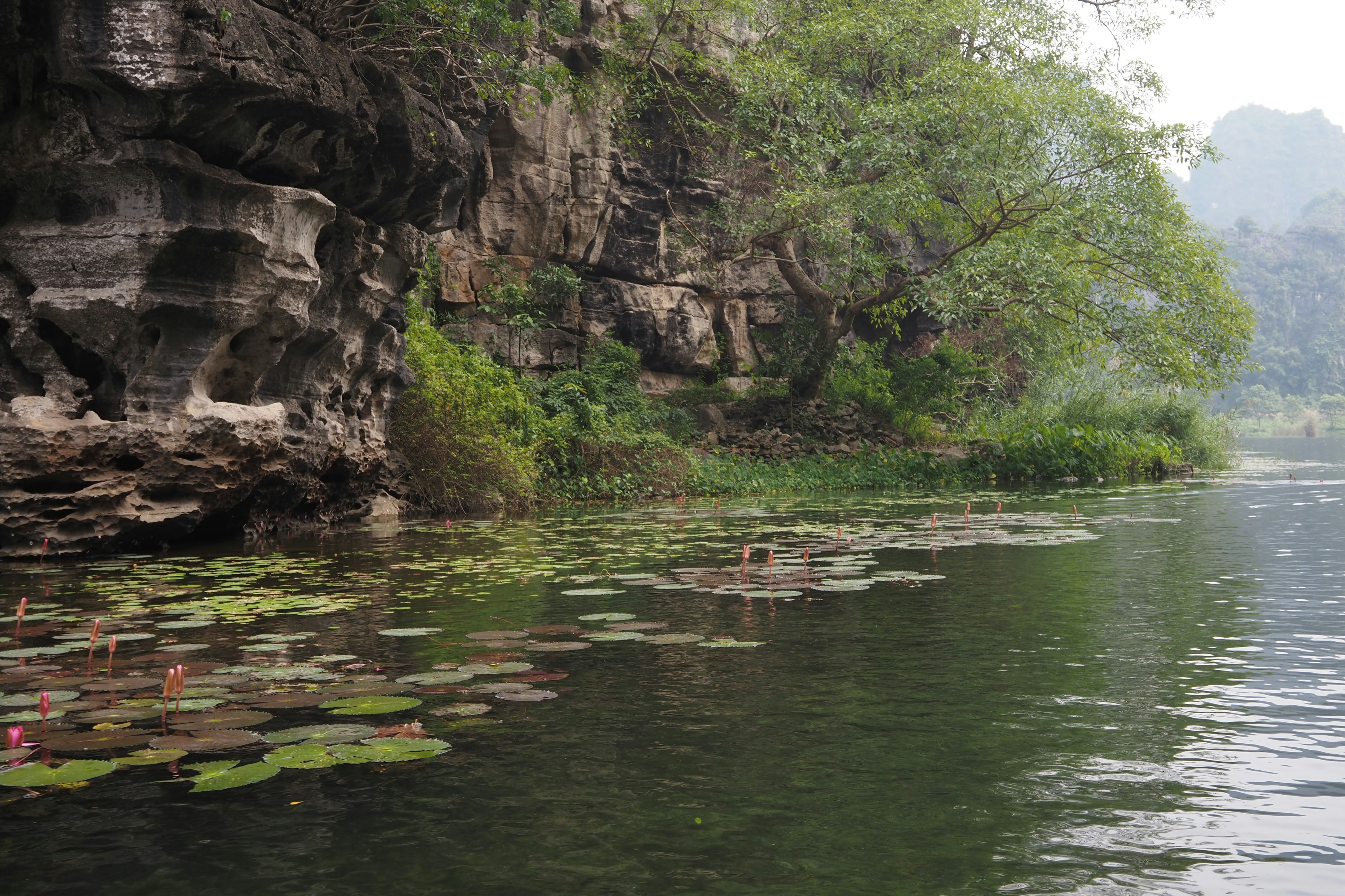 Paesaggio sereno di alberi verdi e riva rocciosa accanto a un lago tranquillo