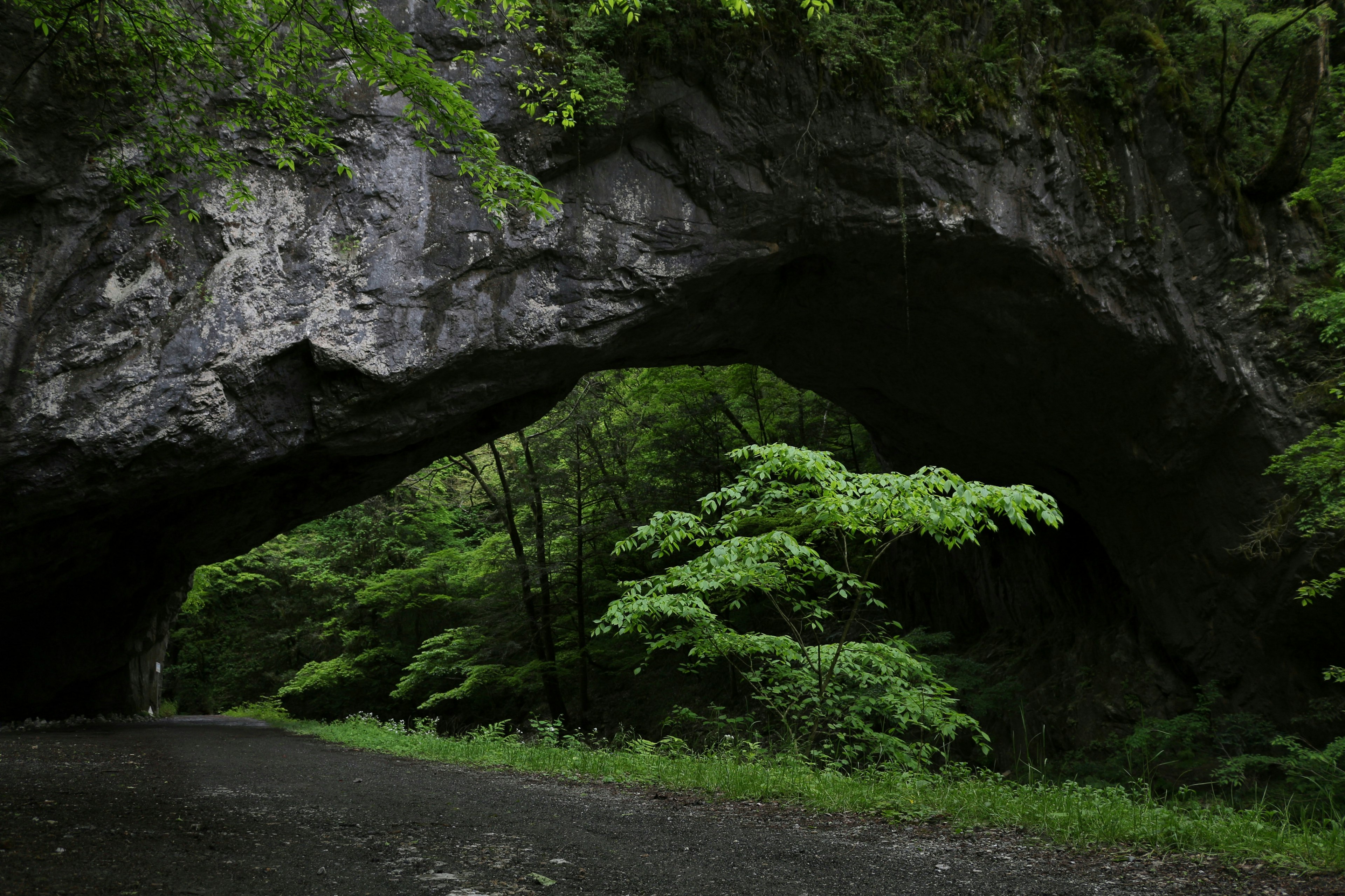 Large rock arch surrounded by lush green trees