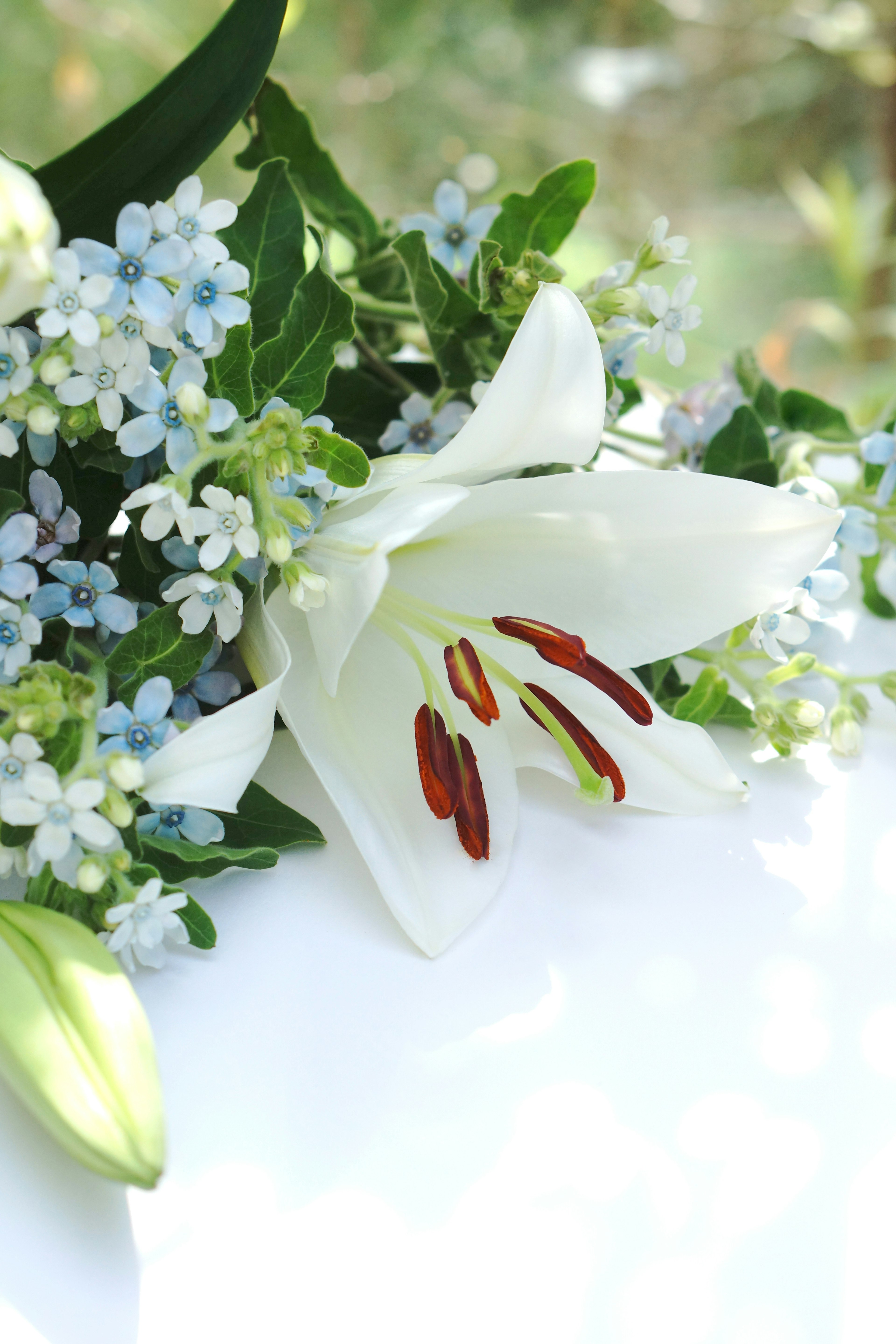 Primer plano de un ramo con un lirio blanco y flores azules