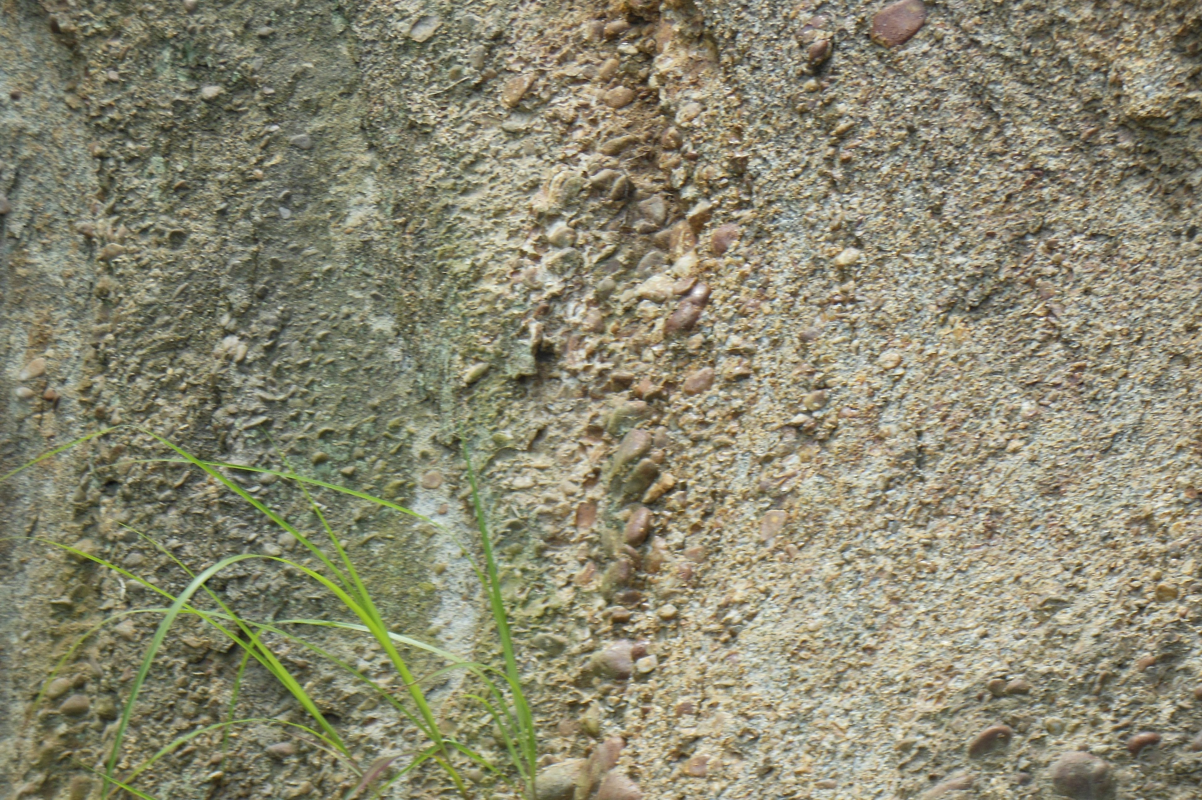 Image montrant une texture de sol rugueuse avec des touffes d'herbe verte