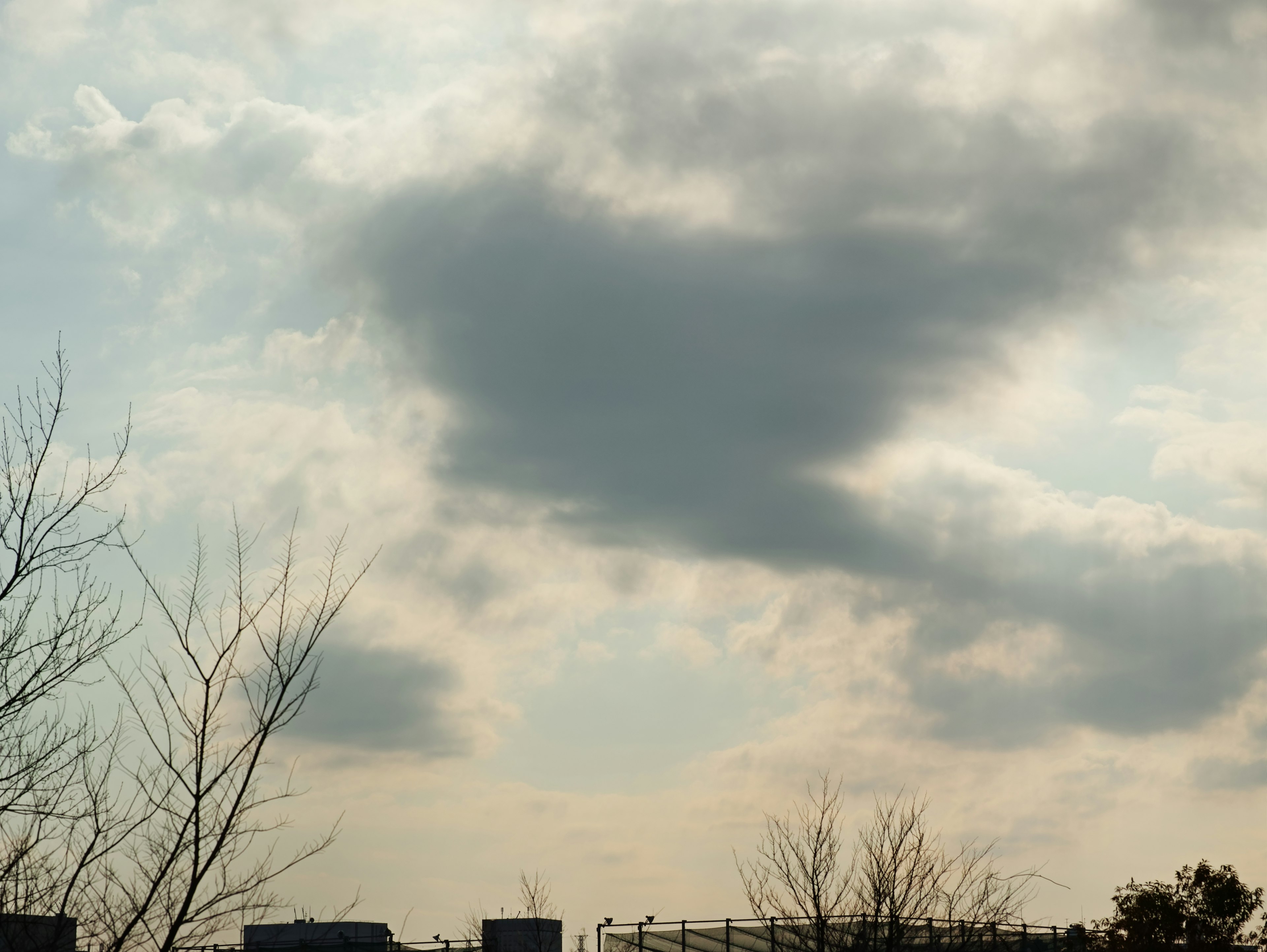 薄曇りの空に浮かぶ雲と枯れ木のシルエット