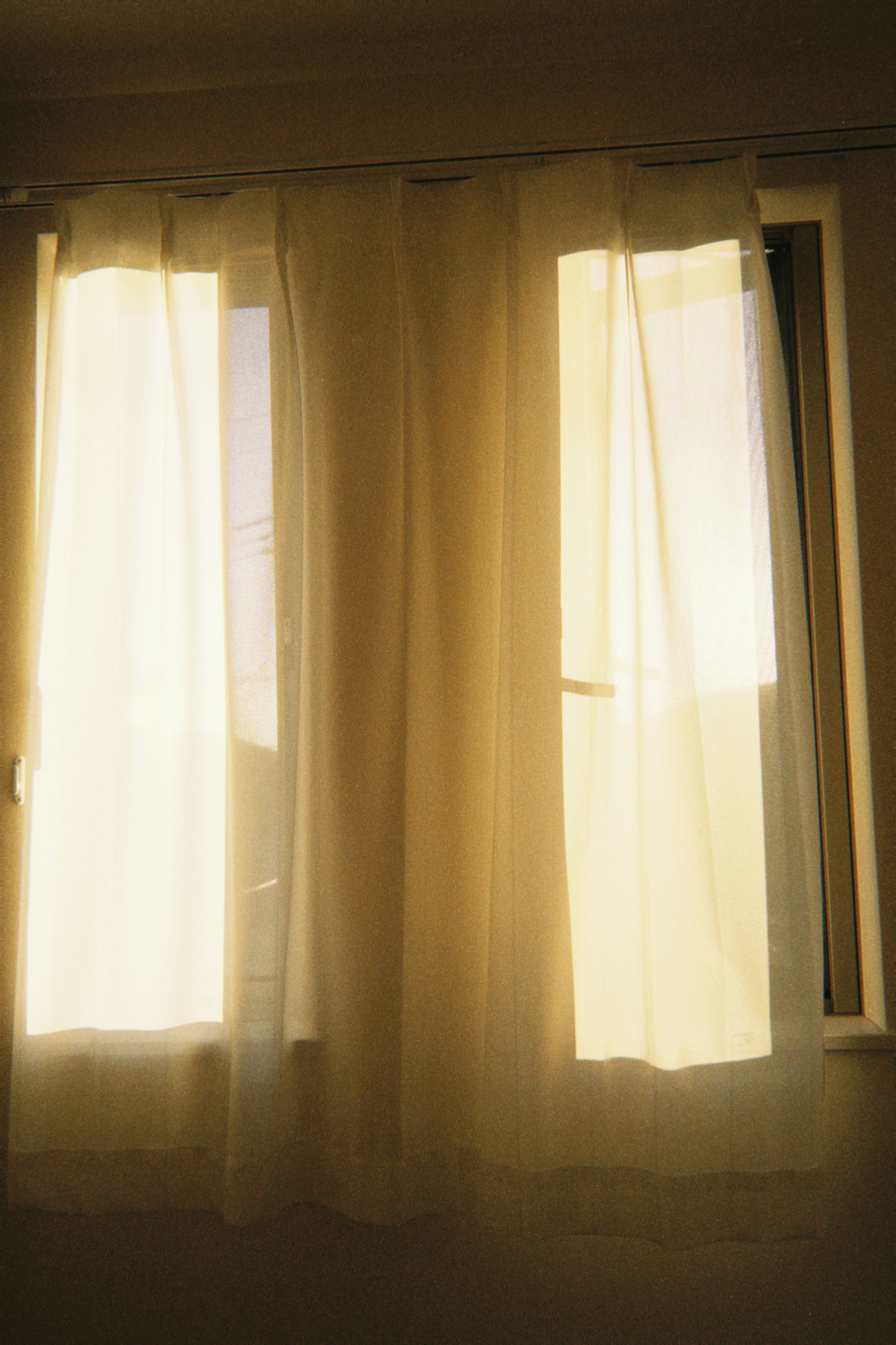 Bright window curtains letting sunlight through