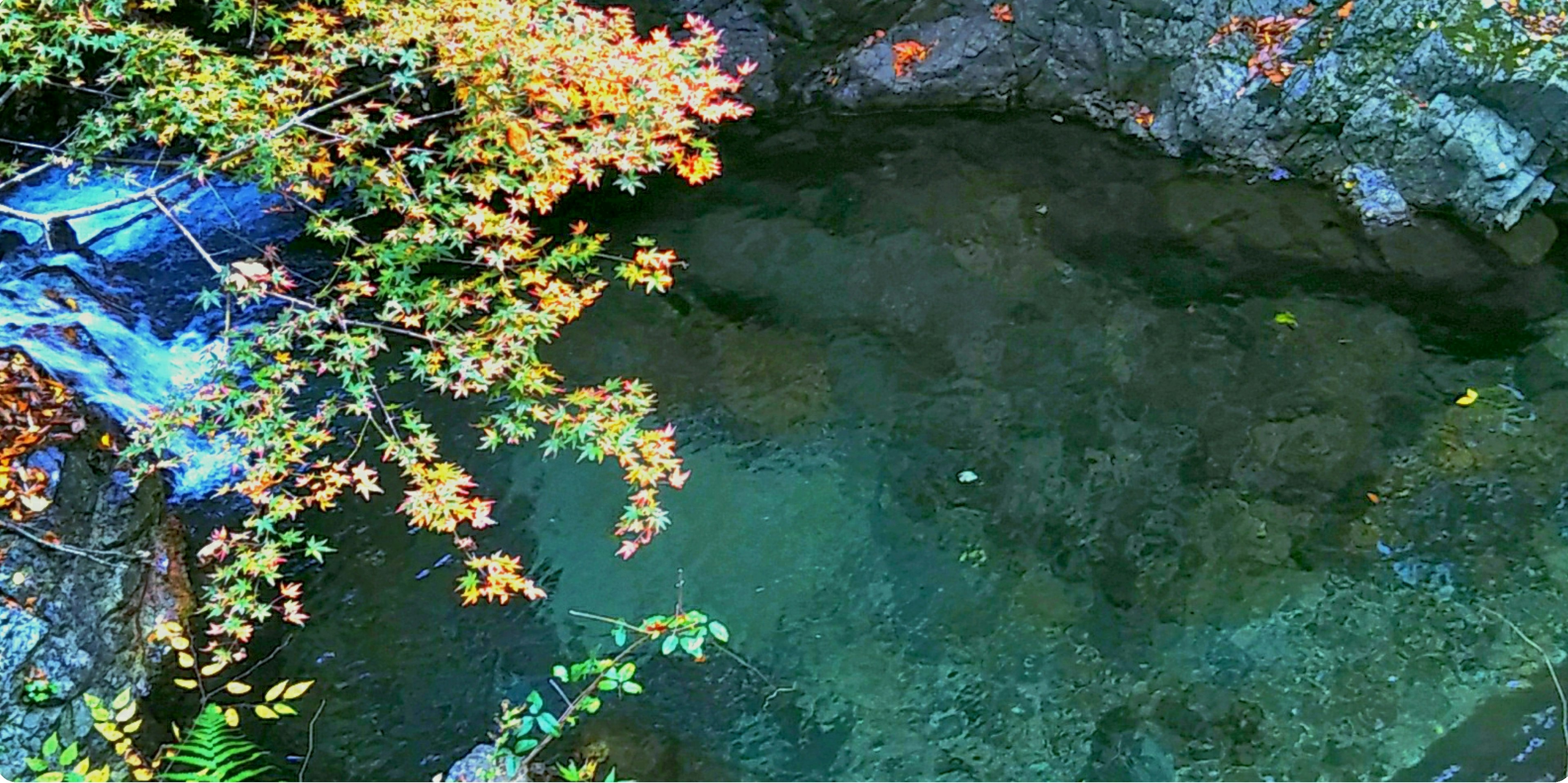 Hojas de otoño y rocas reflejadas en una superficie de agua clara