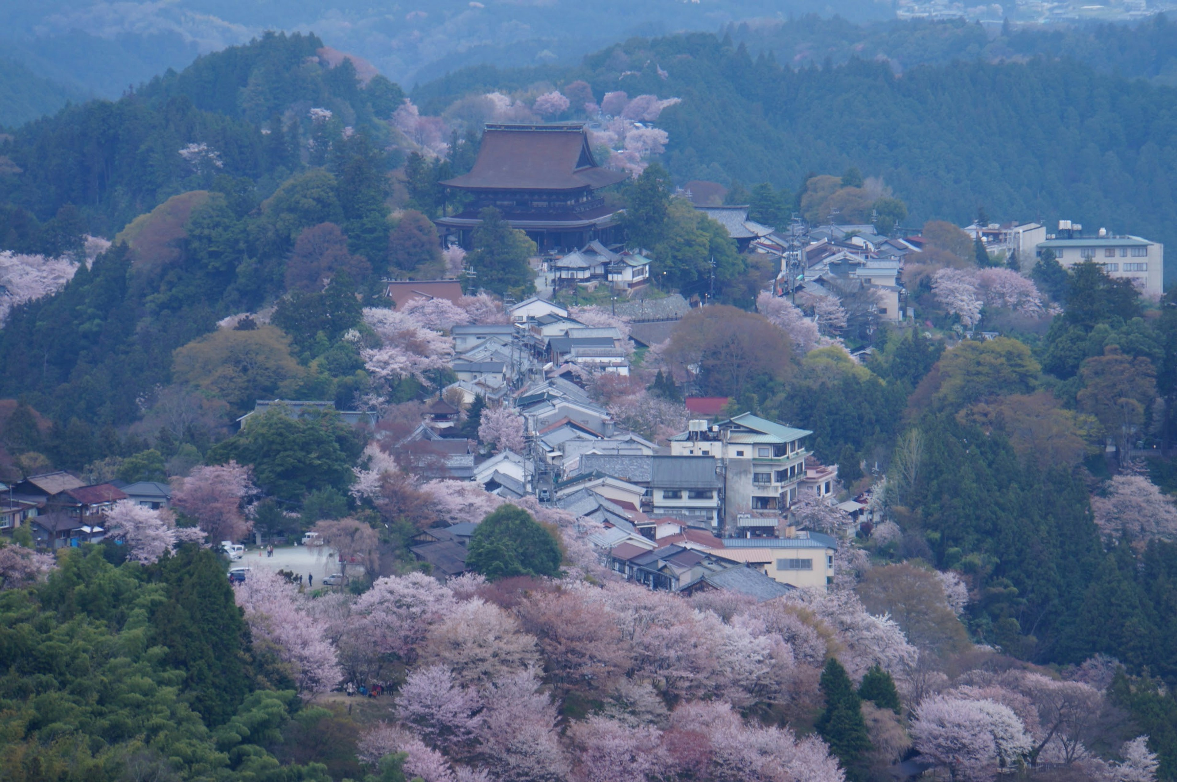 Vue pittoresque d'un village avec des cerisiers en fleurs et un temple dans les montagnes