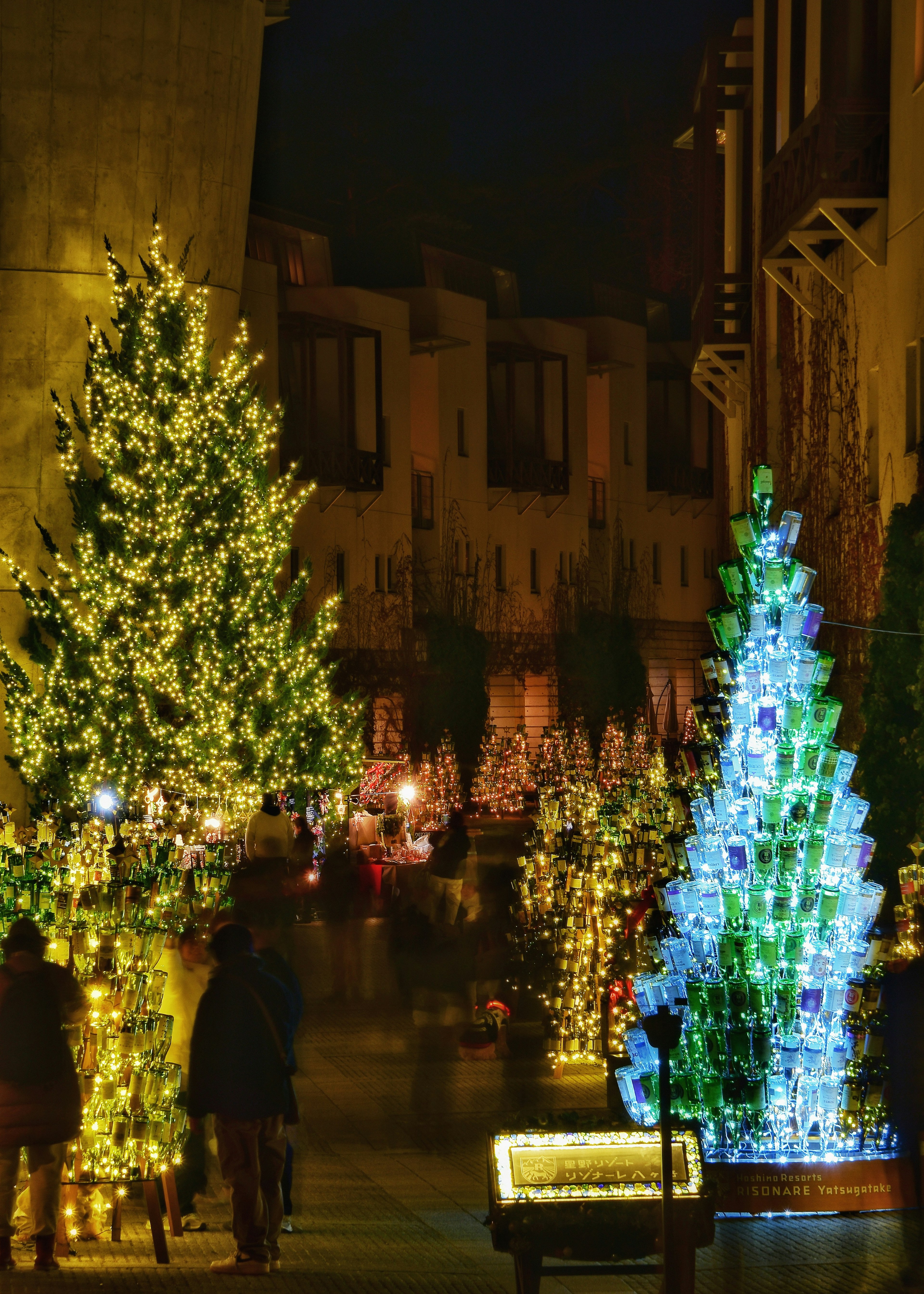 Illuminated Christmas trees and lights in a nighttime street scene