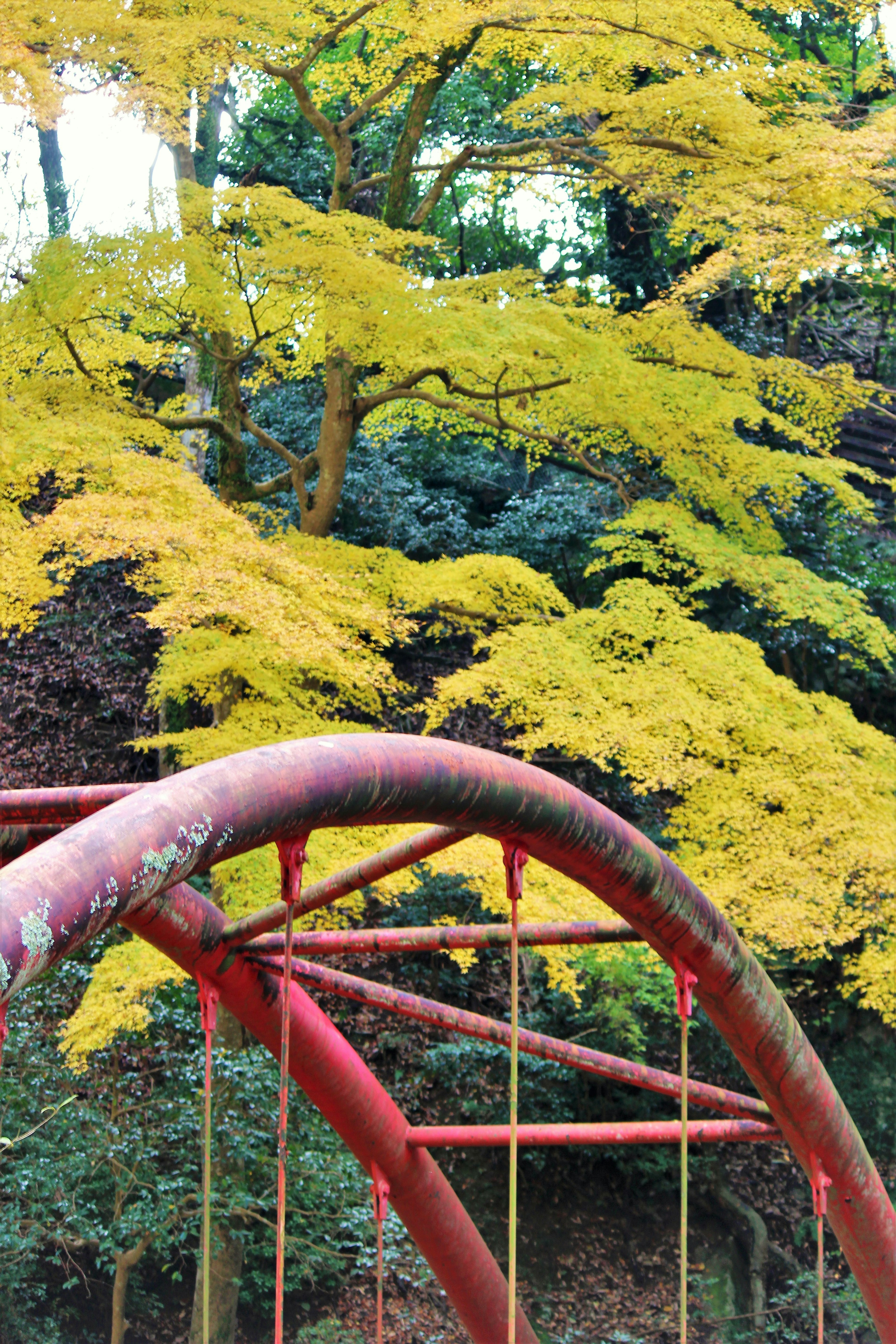 A red swing set framed by vibrant yellow trees in a park