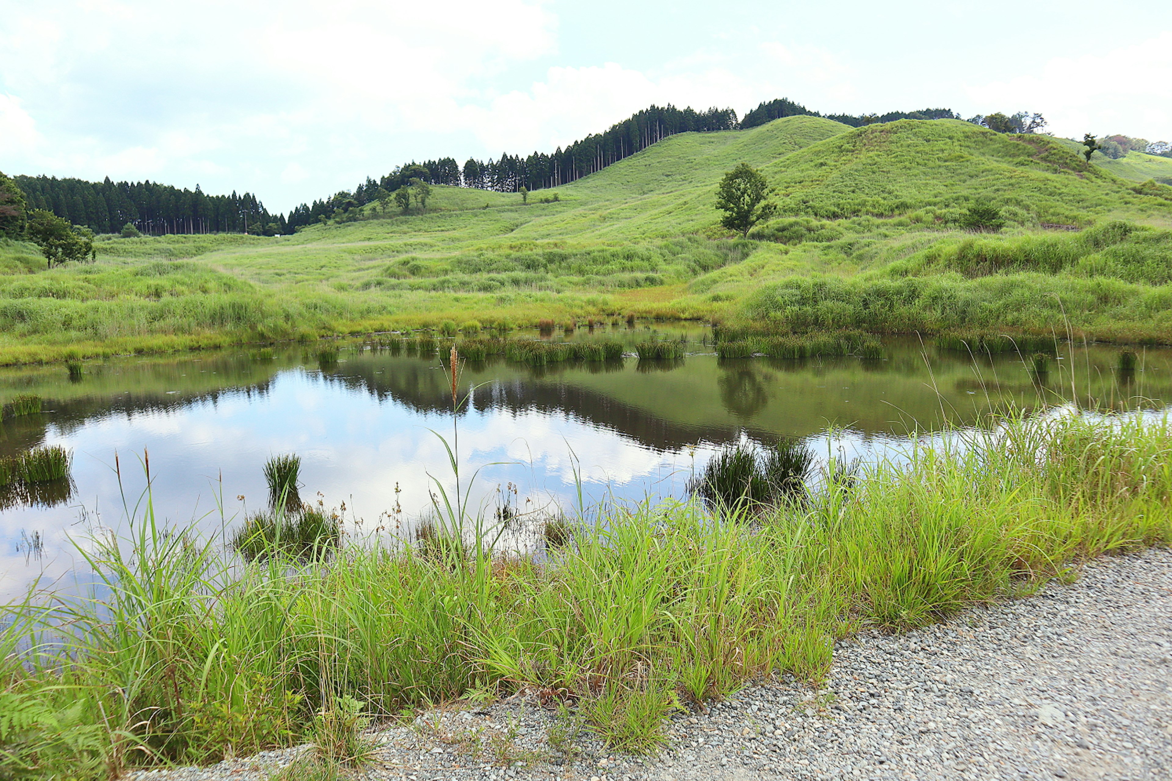 Green hills reflecting in a tranquil pond