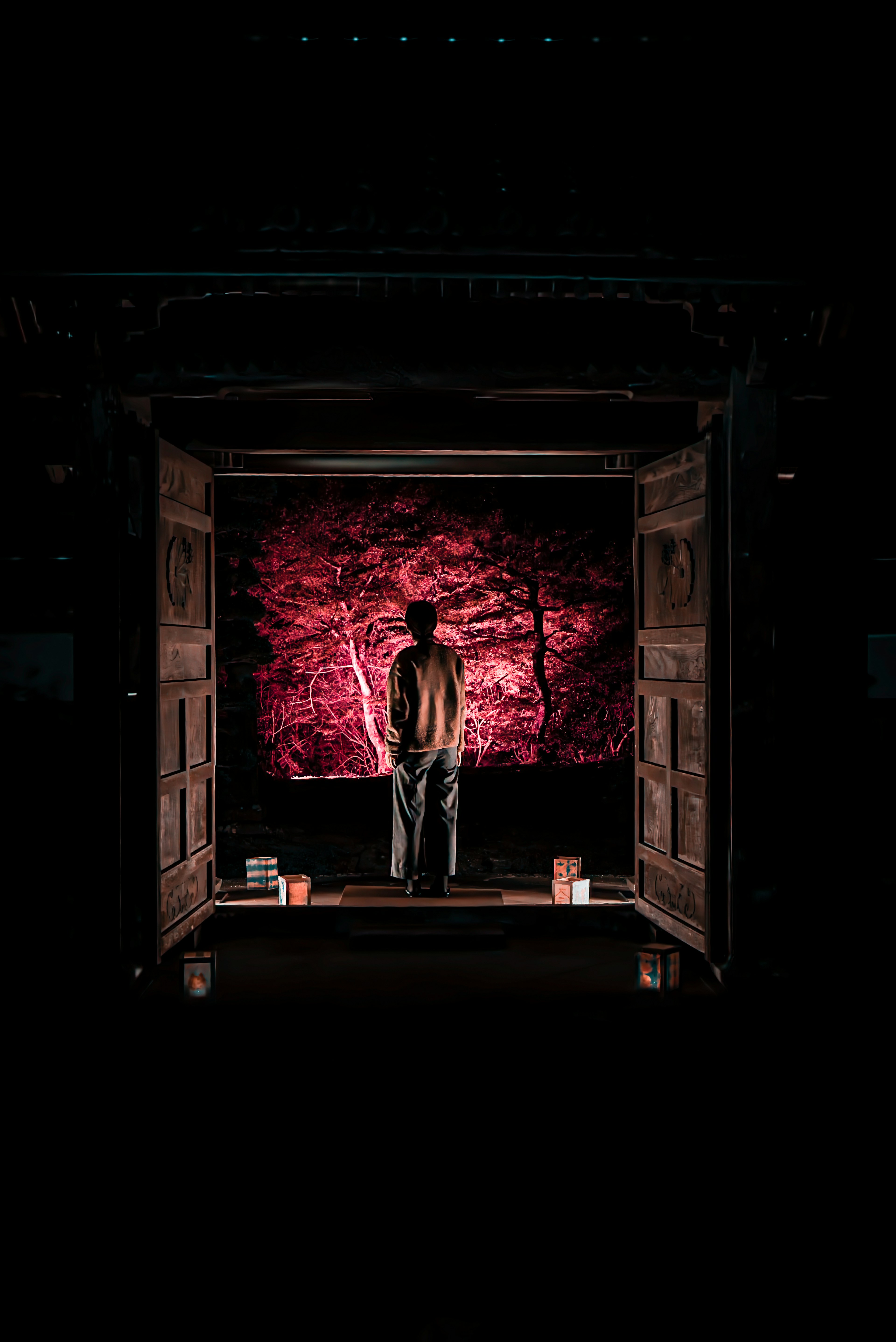 A person standing in a dark space with a bright red wall behind