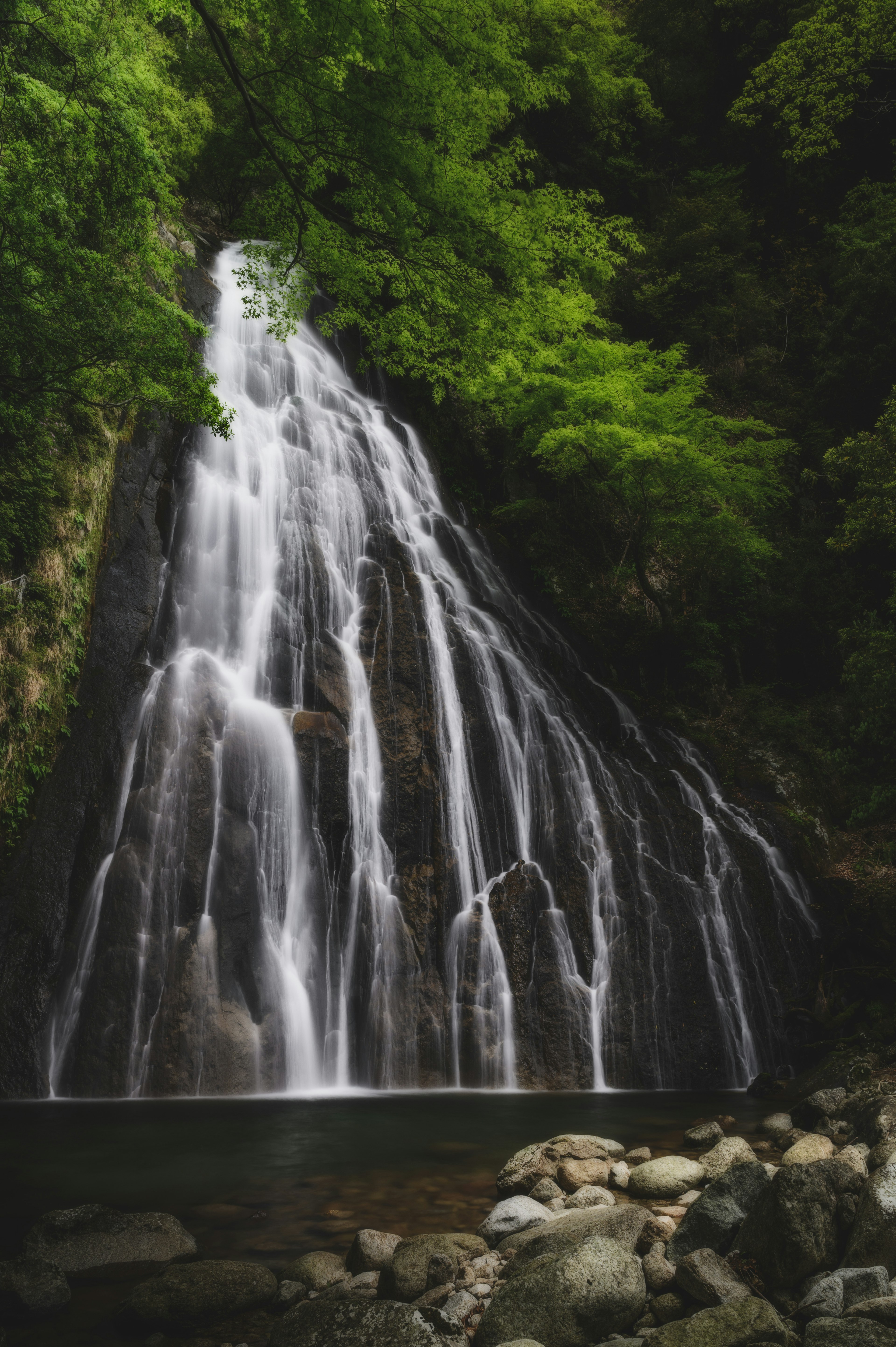 緑に囲まれた美しい滝の風景　水が岩に流れ落ちる様子