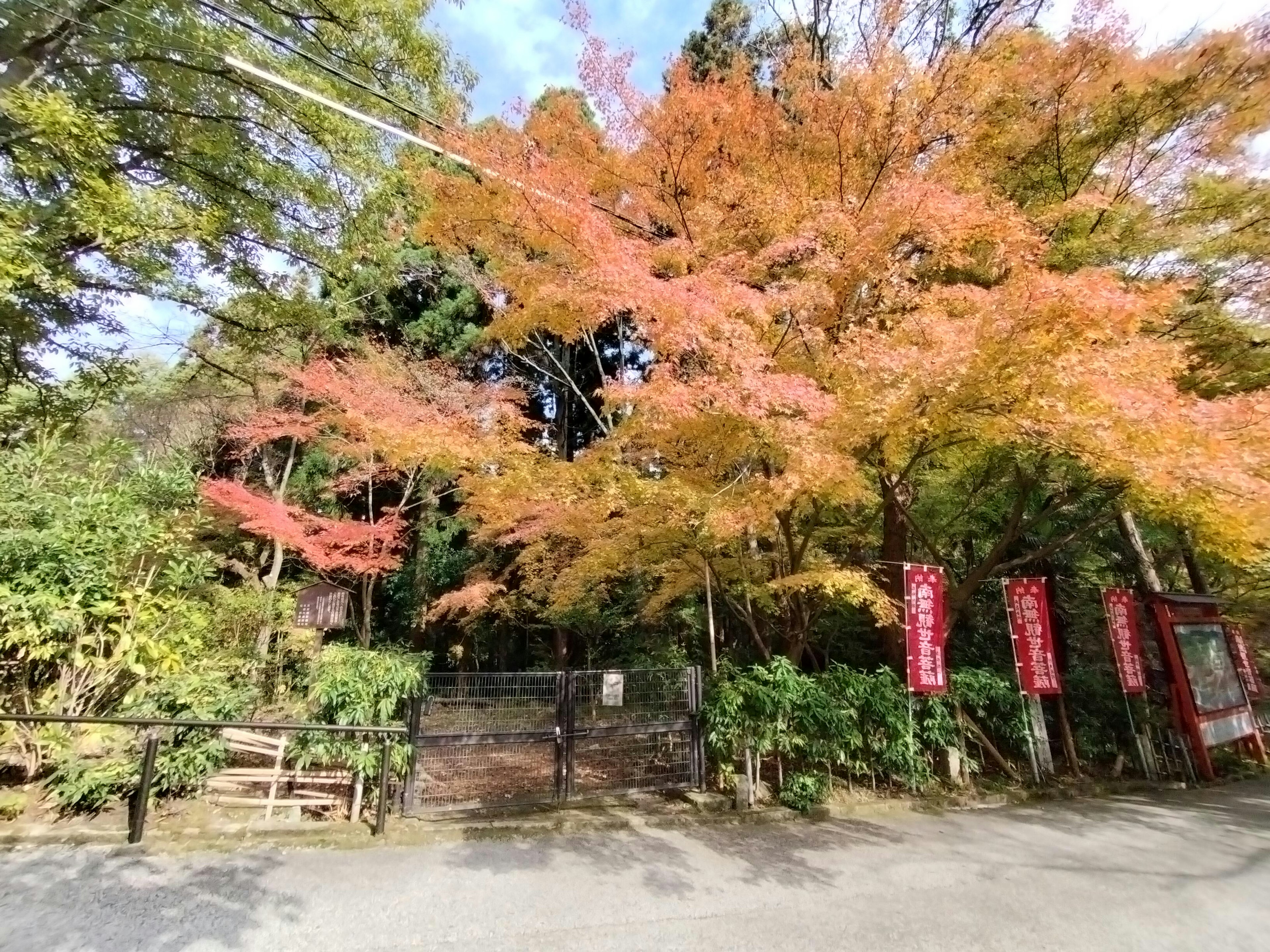 Vue pittoresque avec un feuillage d'automne vibrant à une entrée avec des bannières rouges