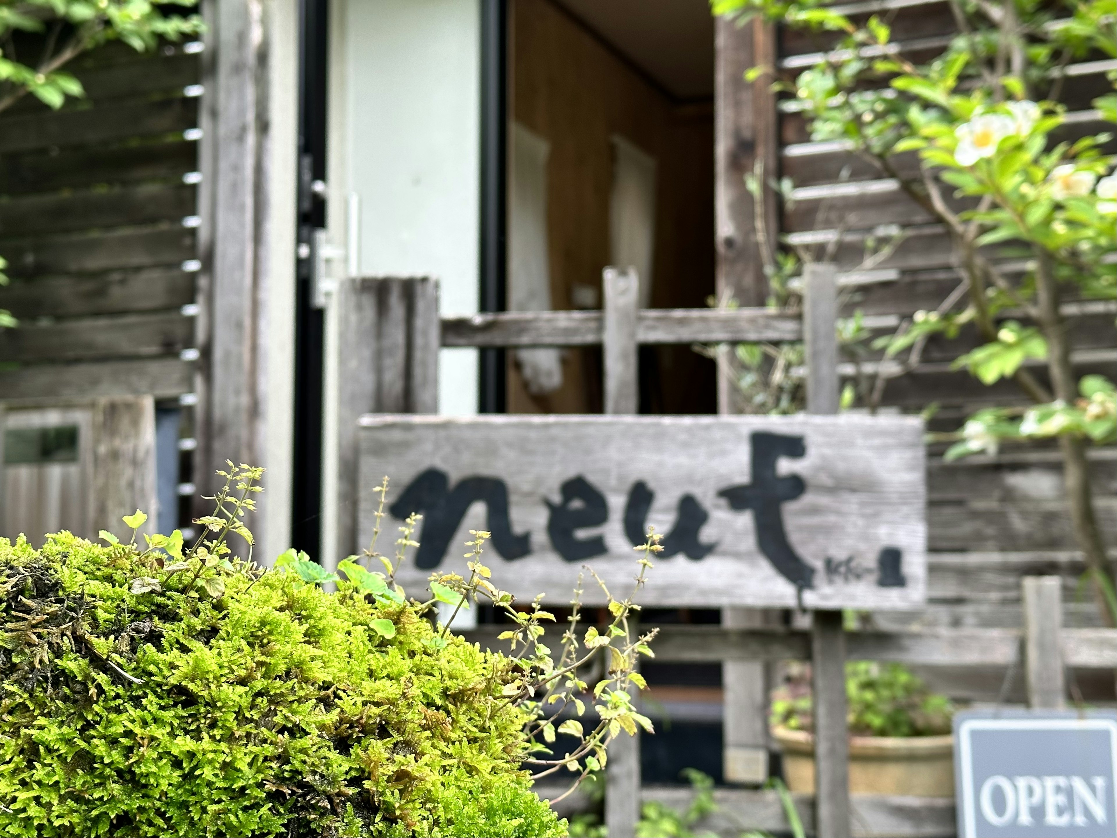 木製の看板に書かれた「neut」という文字と緑の植物がある風景