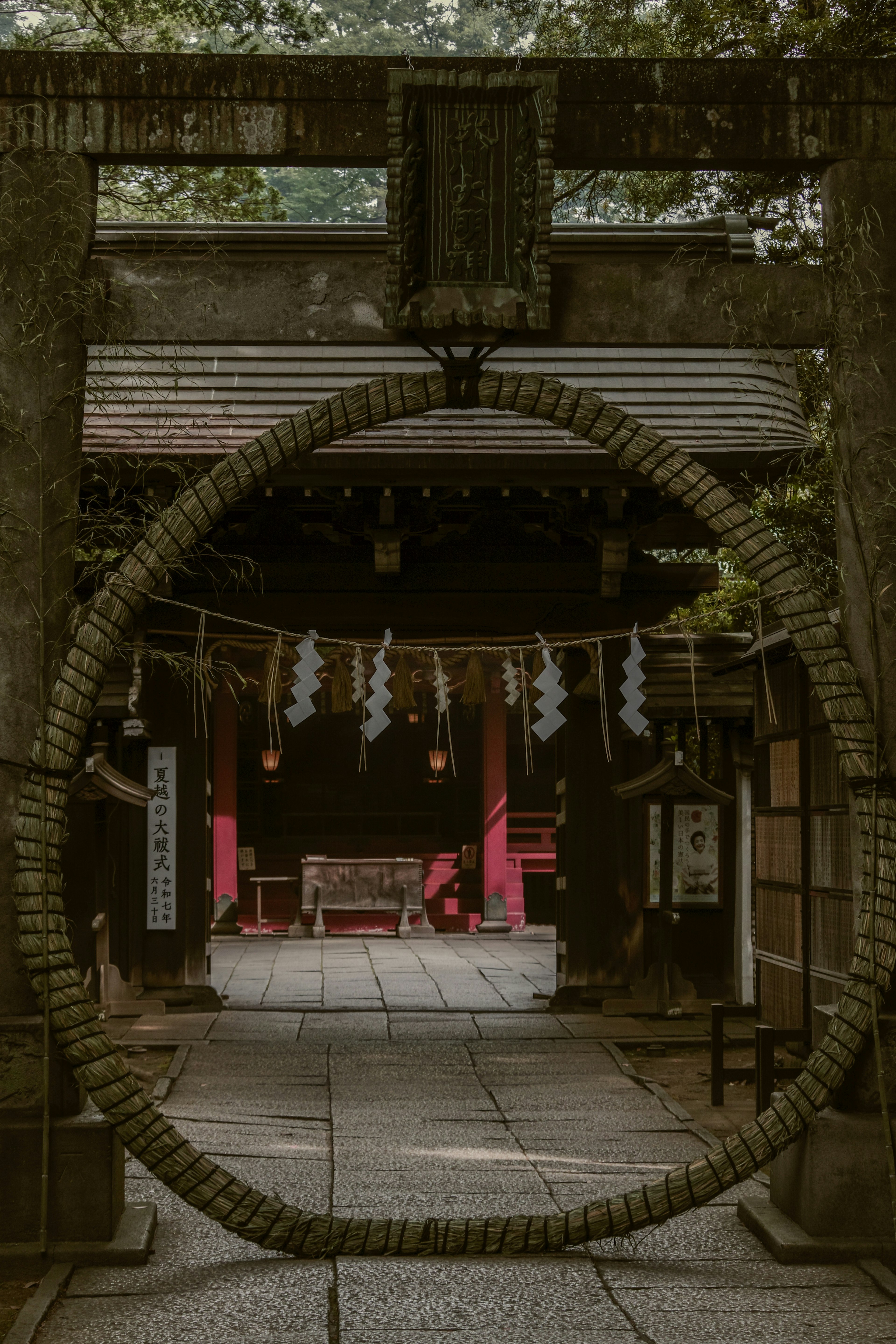 photo-IjkatFxwQJxyCS3QMQ1F-image