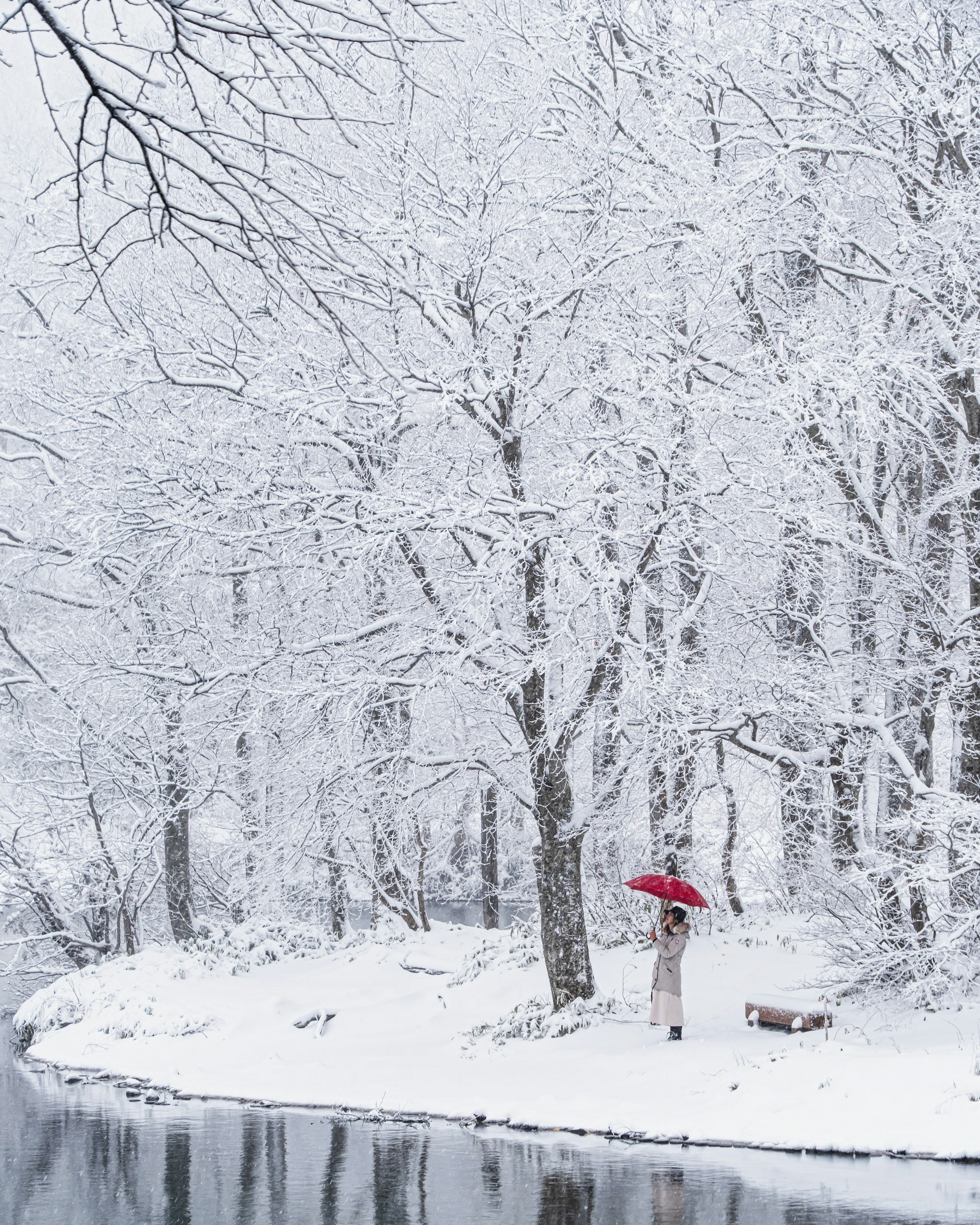 Winterlandschaft mit schneebedeckten Bäumen und einer Person mit einem roten Regenschirm