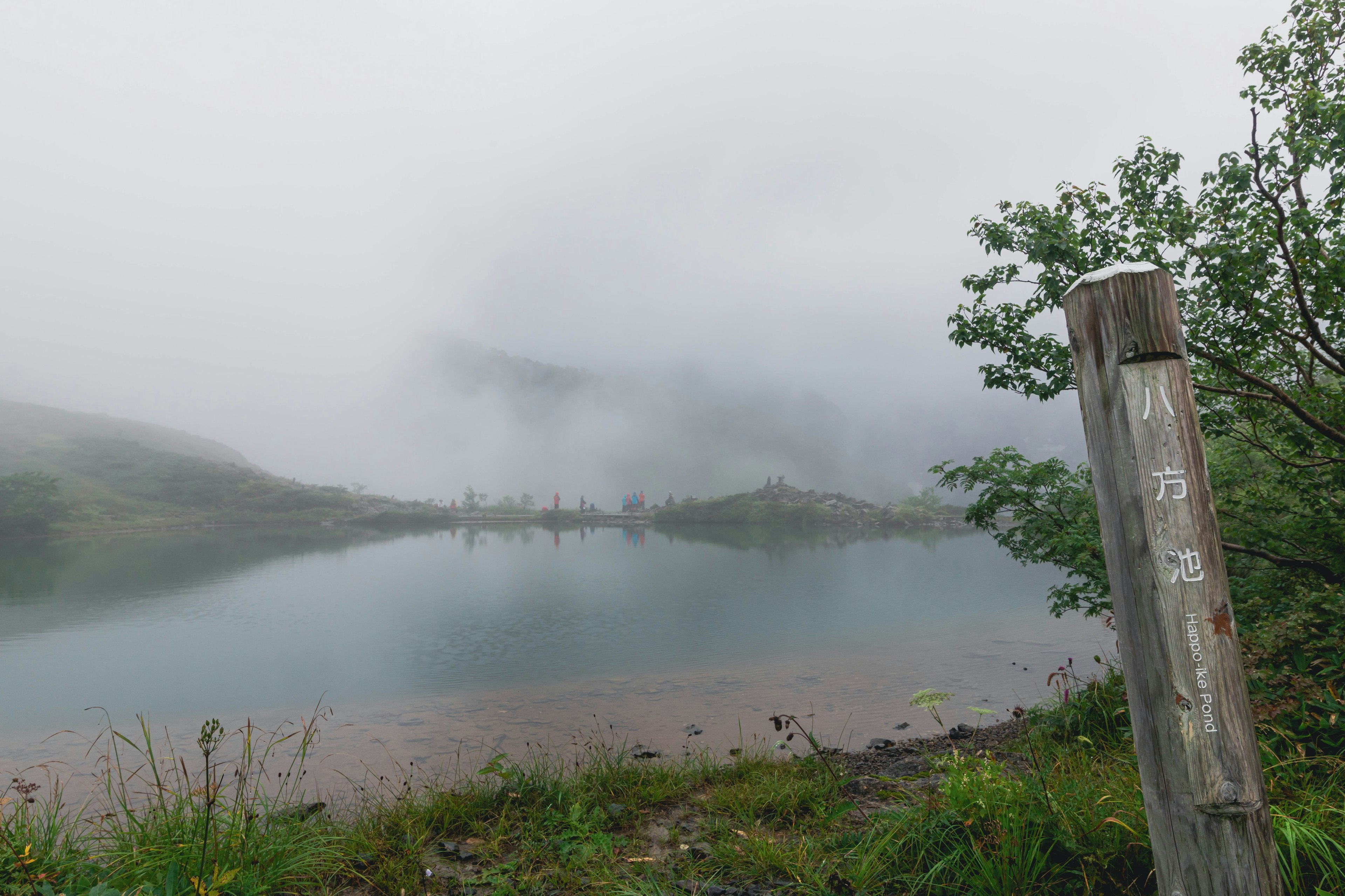 雾气弥漫的湖泊场景，带有木制标志和周围绿植